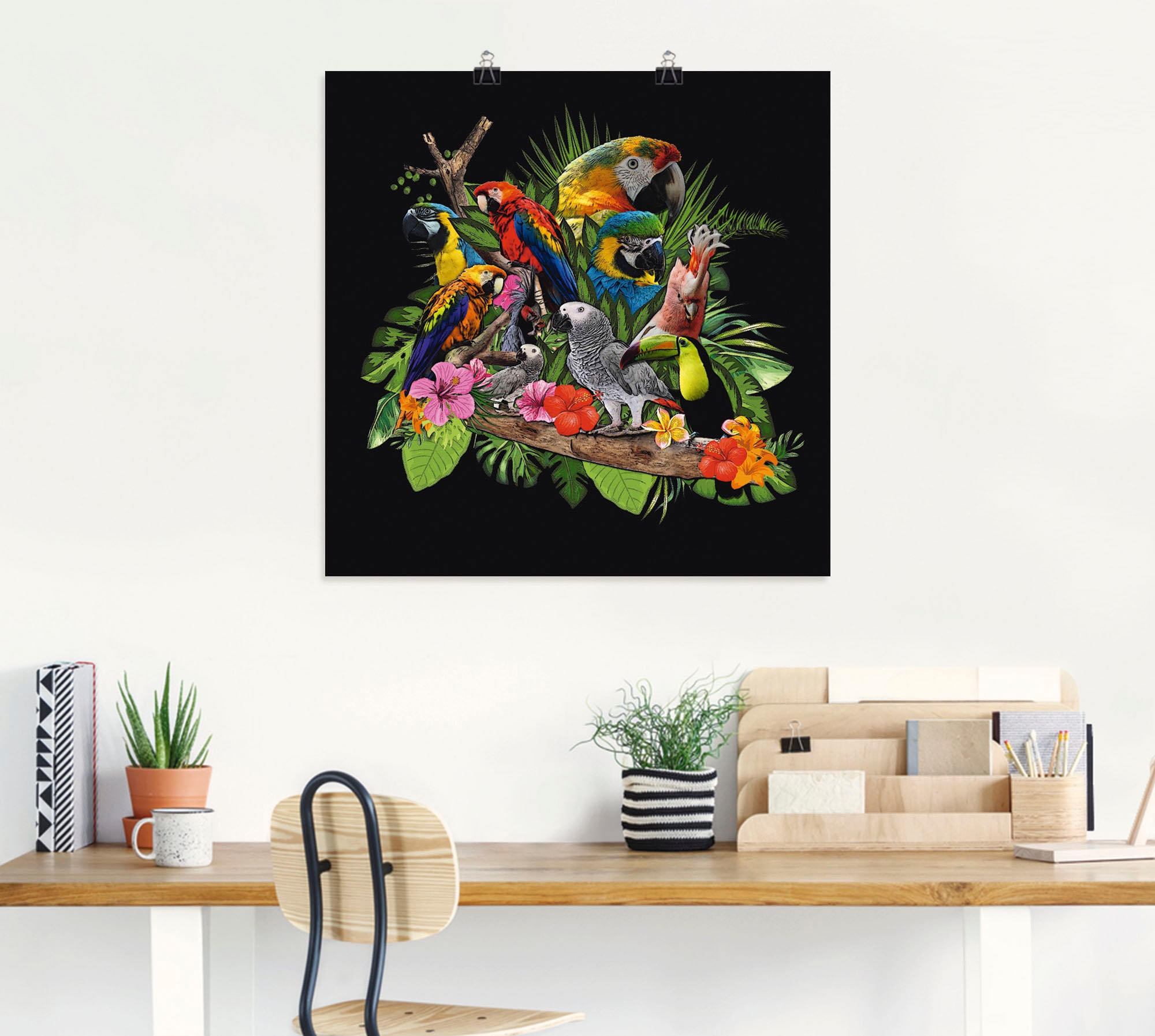 Artland Wandbild »Papageien Graupapagei Kakadu Dschungel«, Vögel, (1 St.), als Alubild, Outdoorbild, Leinwandbild, Poster, Wandaufkleber