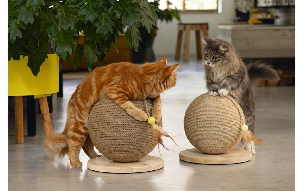Designed By Lotte Kratzkugel »Designed by Lotte Holz Kratzball Balty«