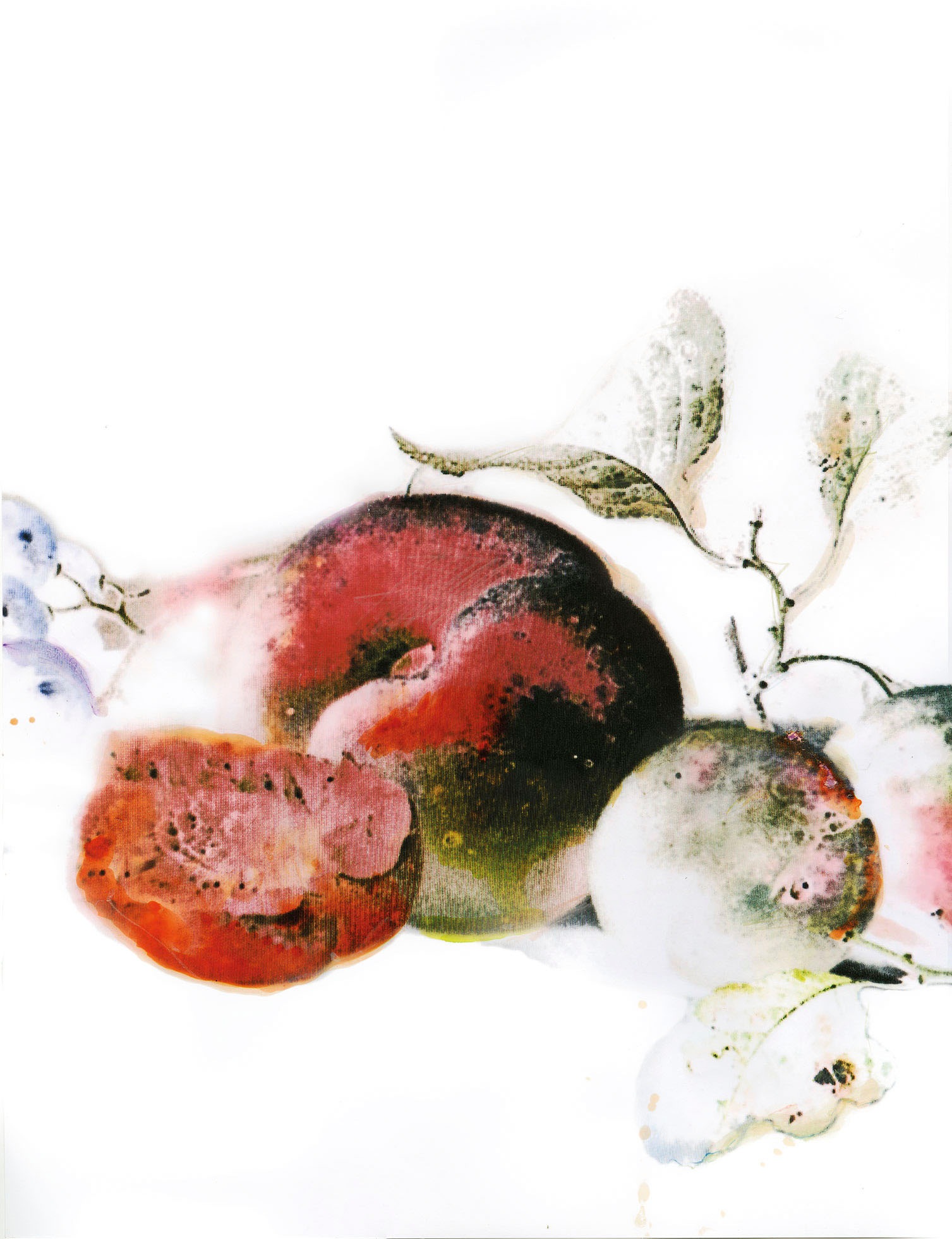 Komar Bild »Dessert Fruité« Natur 1 Stk. tlg. Wandbild zur Dekoration - ohne Rahmen