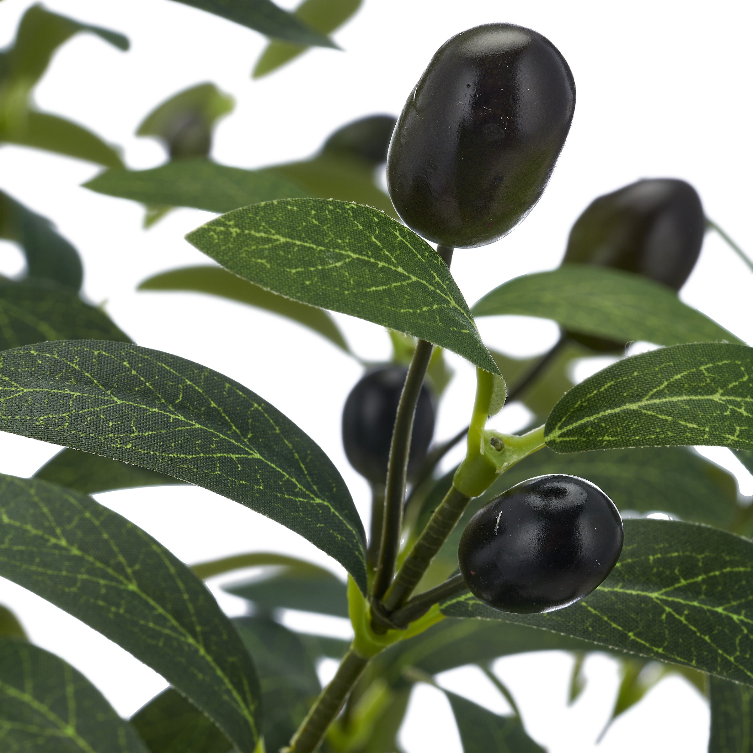 Creativ green Kunstpflanze »Olive« mit Deko-Früchten