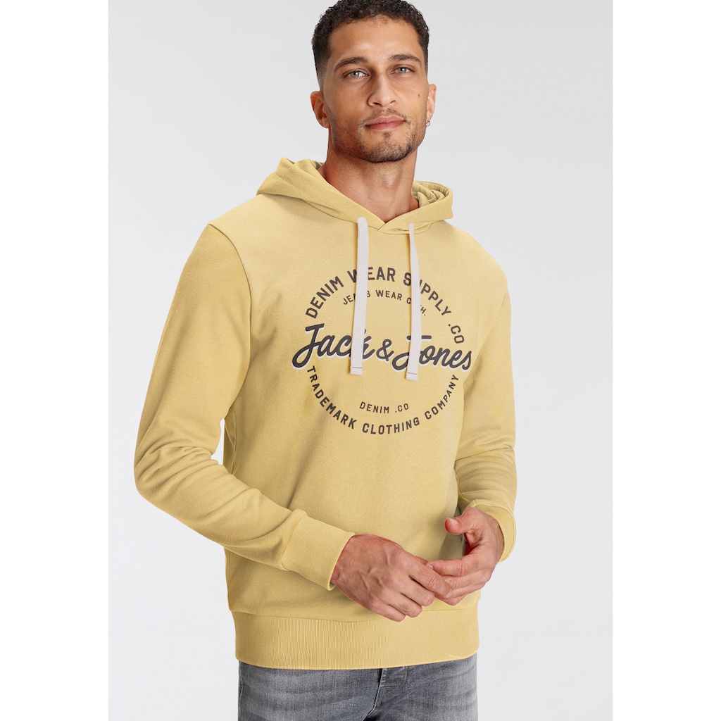 Jack & Jones Kapuzensweatshirt »JJ JJANDY SWEAT HOOD«