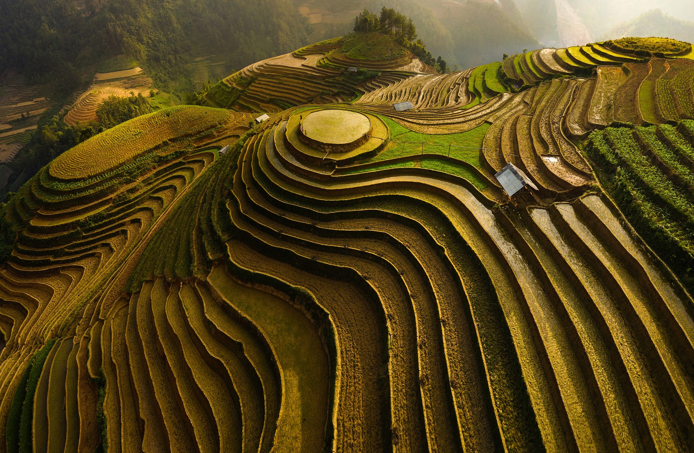 Papermoon Fototapete »ĐAO TẤN PHAT, MU CANG CHAI - VIETNAM«, Vliestapete, h günstig online kaufen