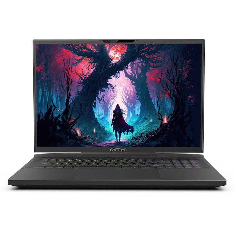 CAPTIVA Gaming-Notebook »Highend Gaming I87-252CH« Windows 11 Home 64-bit, Schweizer Tastatur Layout