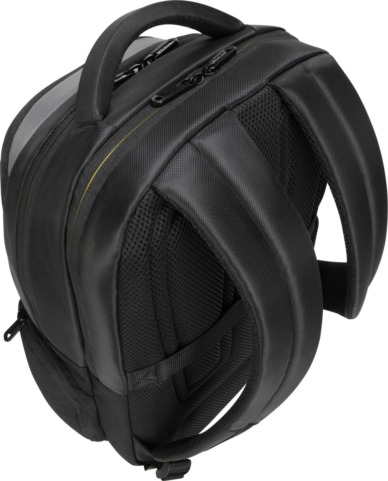 Backpack »CG3 im Online-Shop raincover« Laptoptasche 15.6 kaufen W Targus