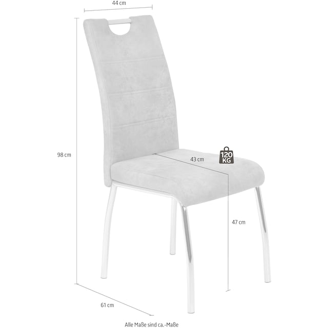 HELA Stuhl »Susi«, 4 St., Polyester, 2 oder 4 Stück online kaufen | Polsterstühle