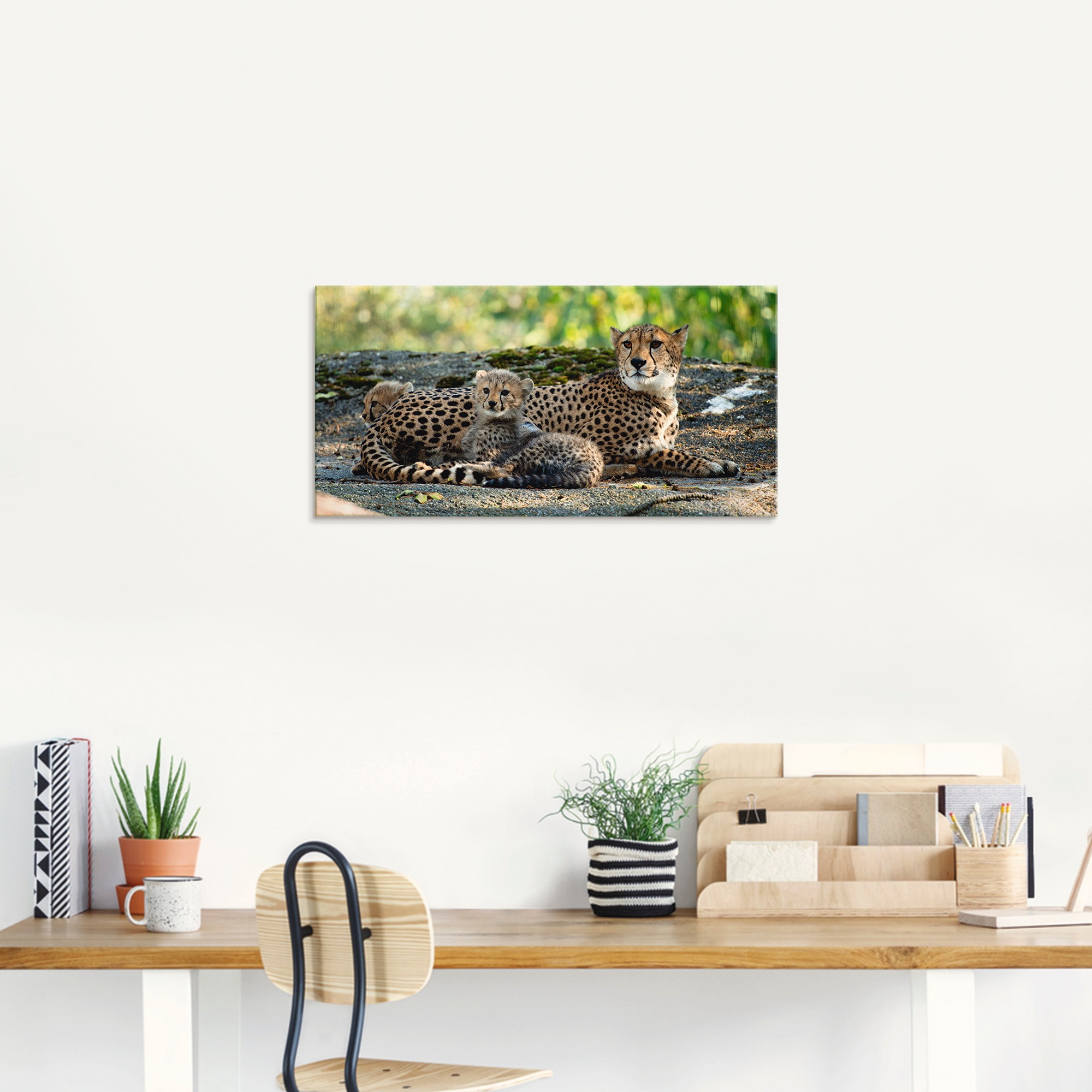 Artland Glasbild »Gepard 2« Wildtiere 1 Stk. tlg. in verschiedenen Größen günstig online kaufen