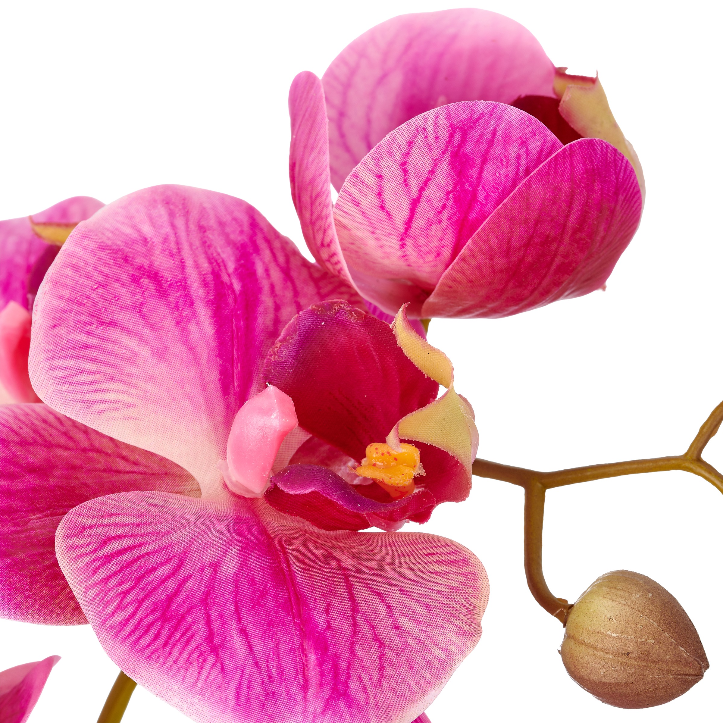 Creativ green Kunstorchidee »Phalaenopsis« mit Real-Touch-Blüten