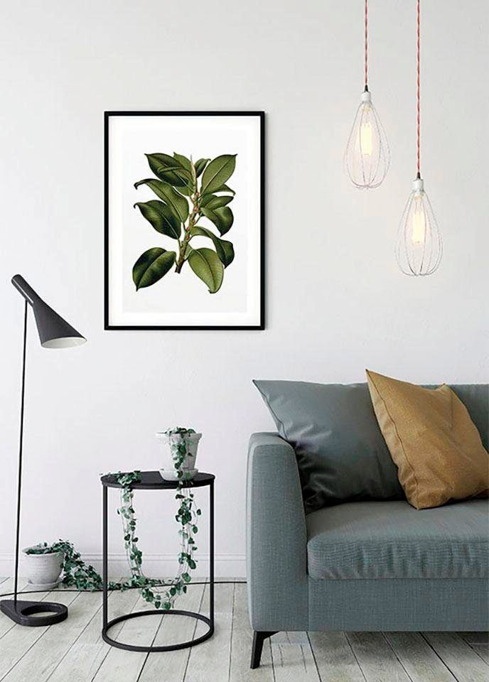 Komar Bild »Elastica Tree«, Pflanzen-Blätter, (1 St.), Wandbild zur Dekoration - ohne Rahmen