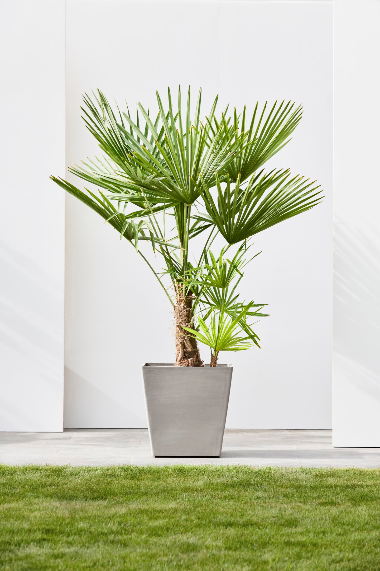 ECOPOTS Blumentopf »Rotterdam mit Rollen 50 Taupe«, für innen und außen: frostsicher, bruchsicher und lichtbeständig