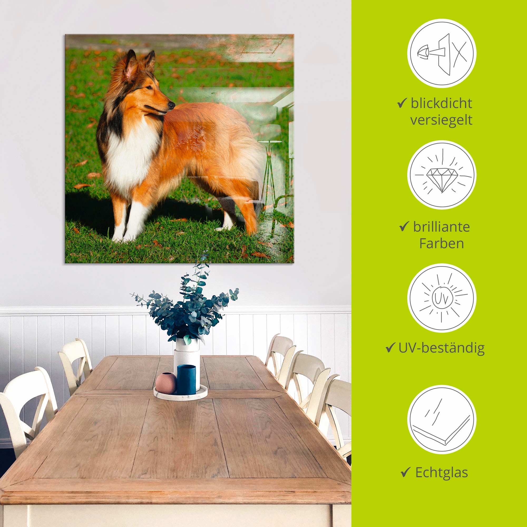 Artland Glasbild »Amerikanischer Collie«, Haustiere, (1 St.), in verschiedenen Größen