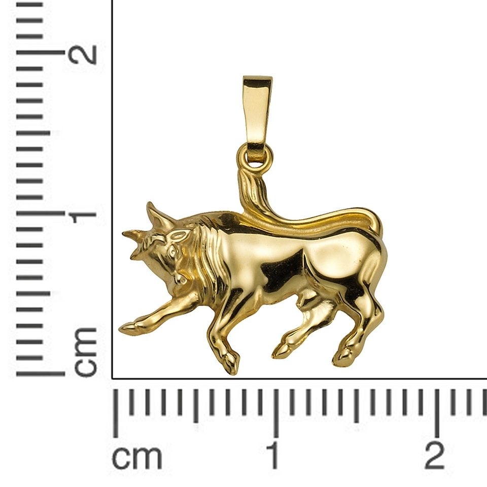 Firetti Sternzeichenanhänger »Schmuck Geschenk Gold 333 Halsschmuck Anhänger Halskette Sternzeichen«