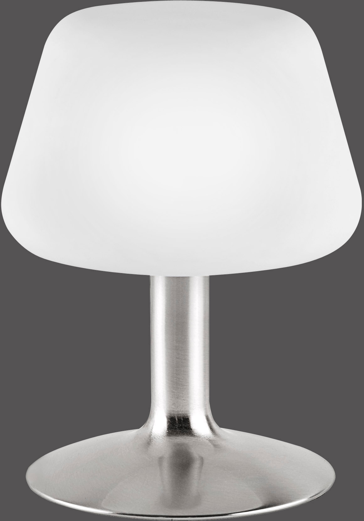 Paul Neuhaus LED Tischleuchte »Till«, 1 flammig-flammig, 3-Stufen  Touchdimmer auf Raten kaufen