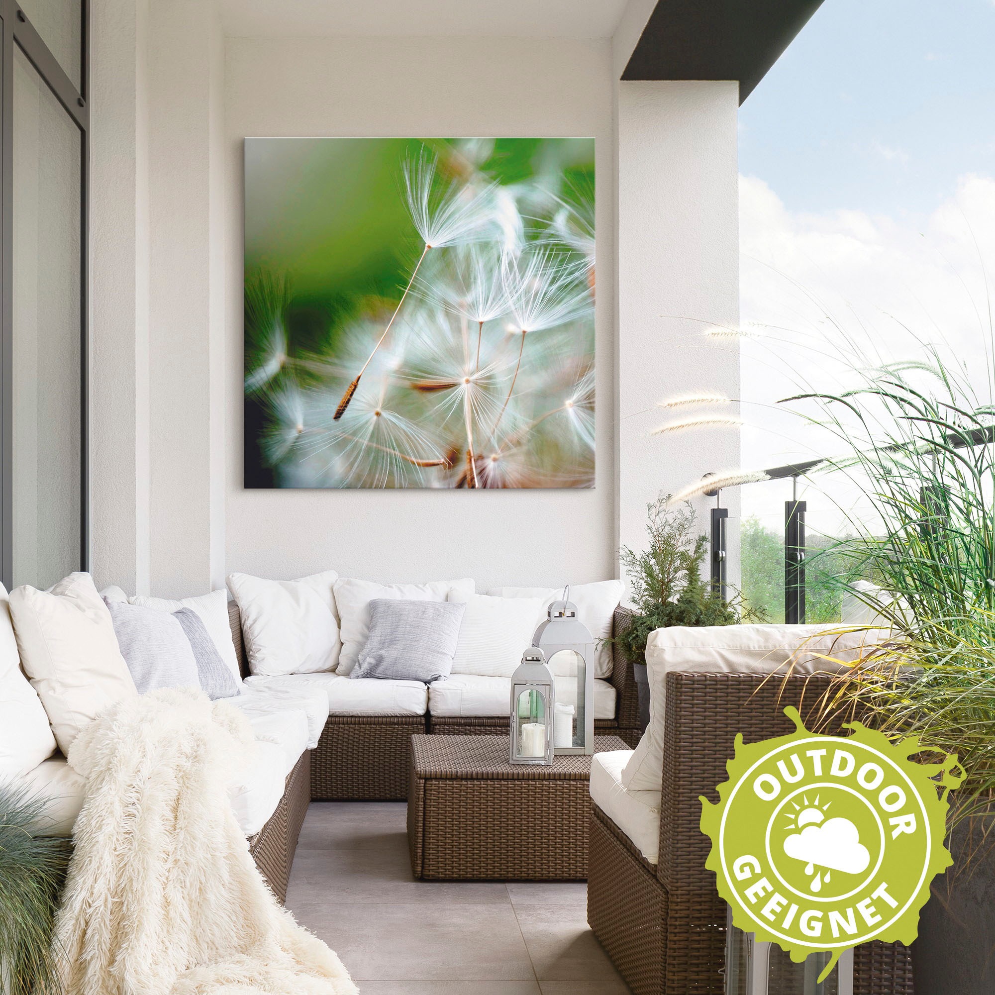 Artland Alu-Dibond-Druck »Pusteblume kuschelweich«, Blumen, (1 St.), für Innen- und Außenbereich geeignet, Outdoorbild