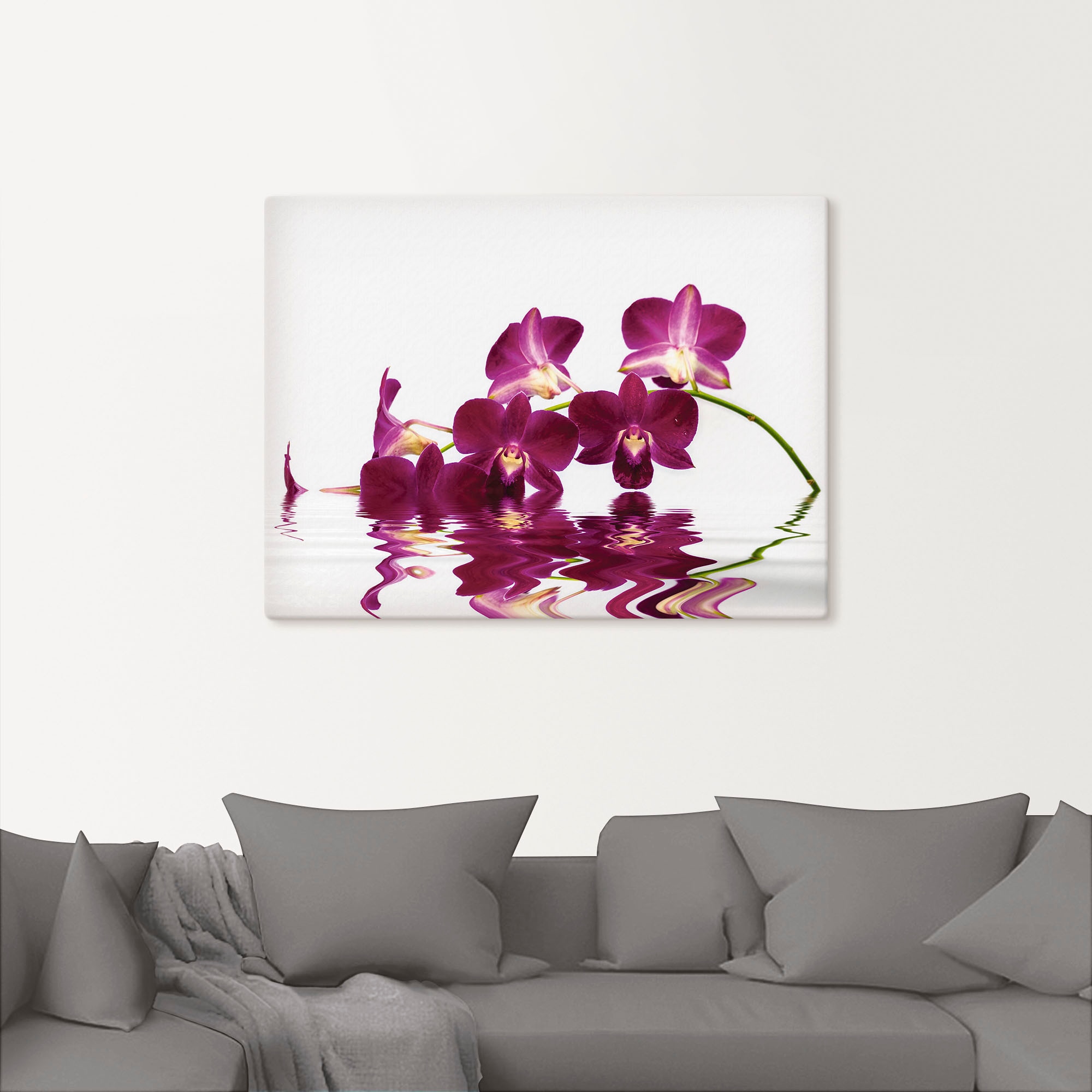 Artland Leinwandbild »Phalaenopsis Orchidee«, Blumen, (1 St.), auf Keilrahm günstig online kaufen