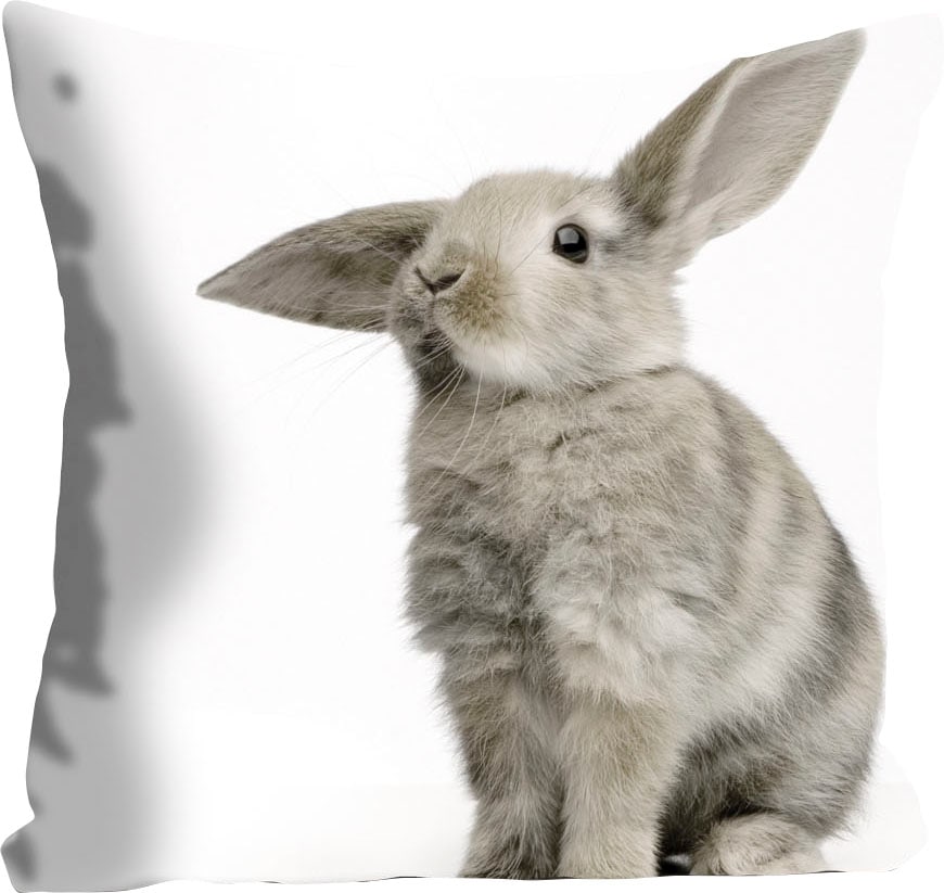 queence Dekokissen »Marwin«, Kissenhülle,grauer Hase,Süß,Ostern,Tierisch,Fr günstig online kaufen