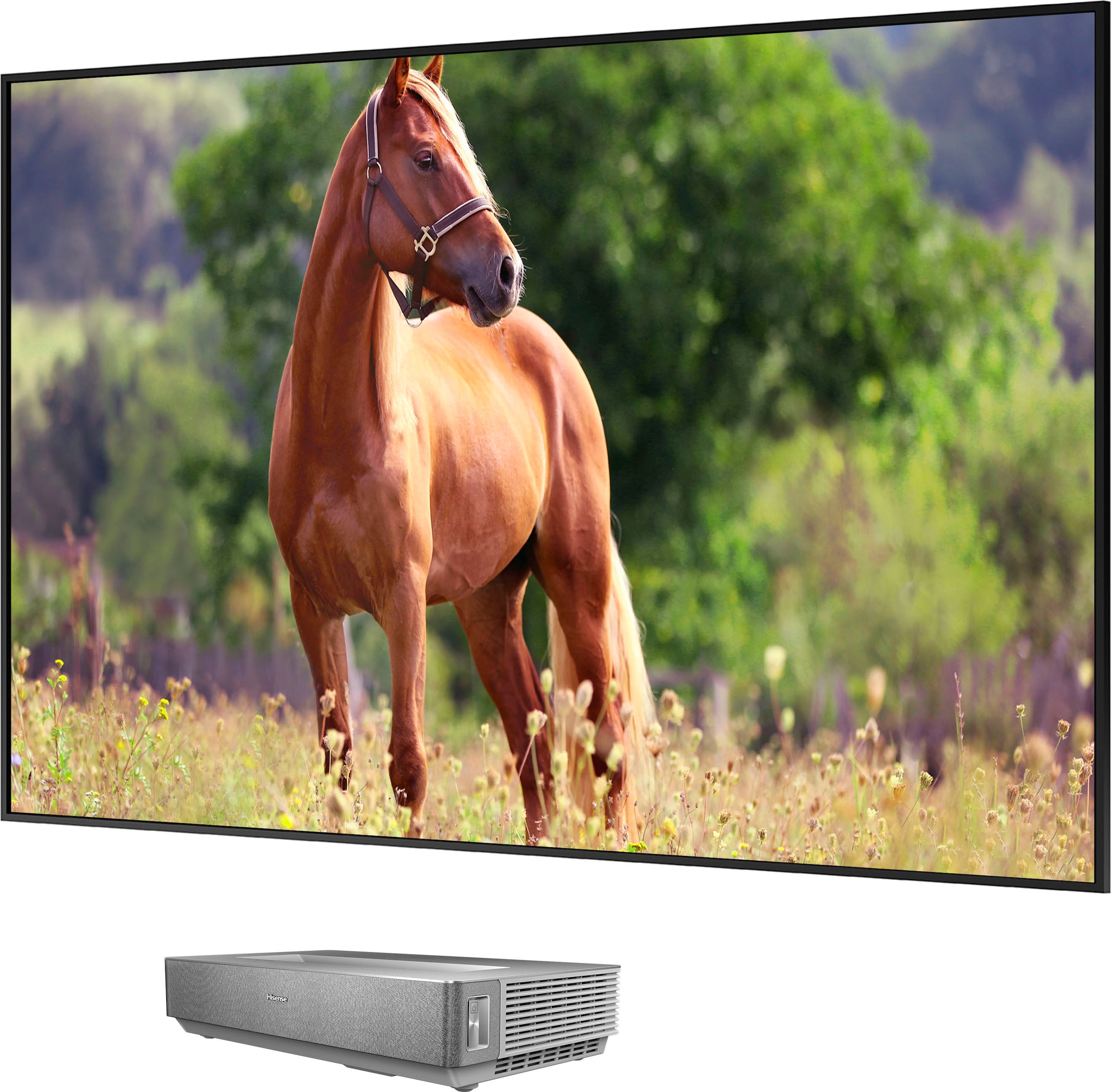 Hisense Laser-TV »120L5HA«