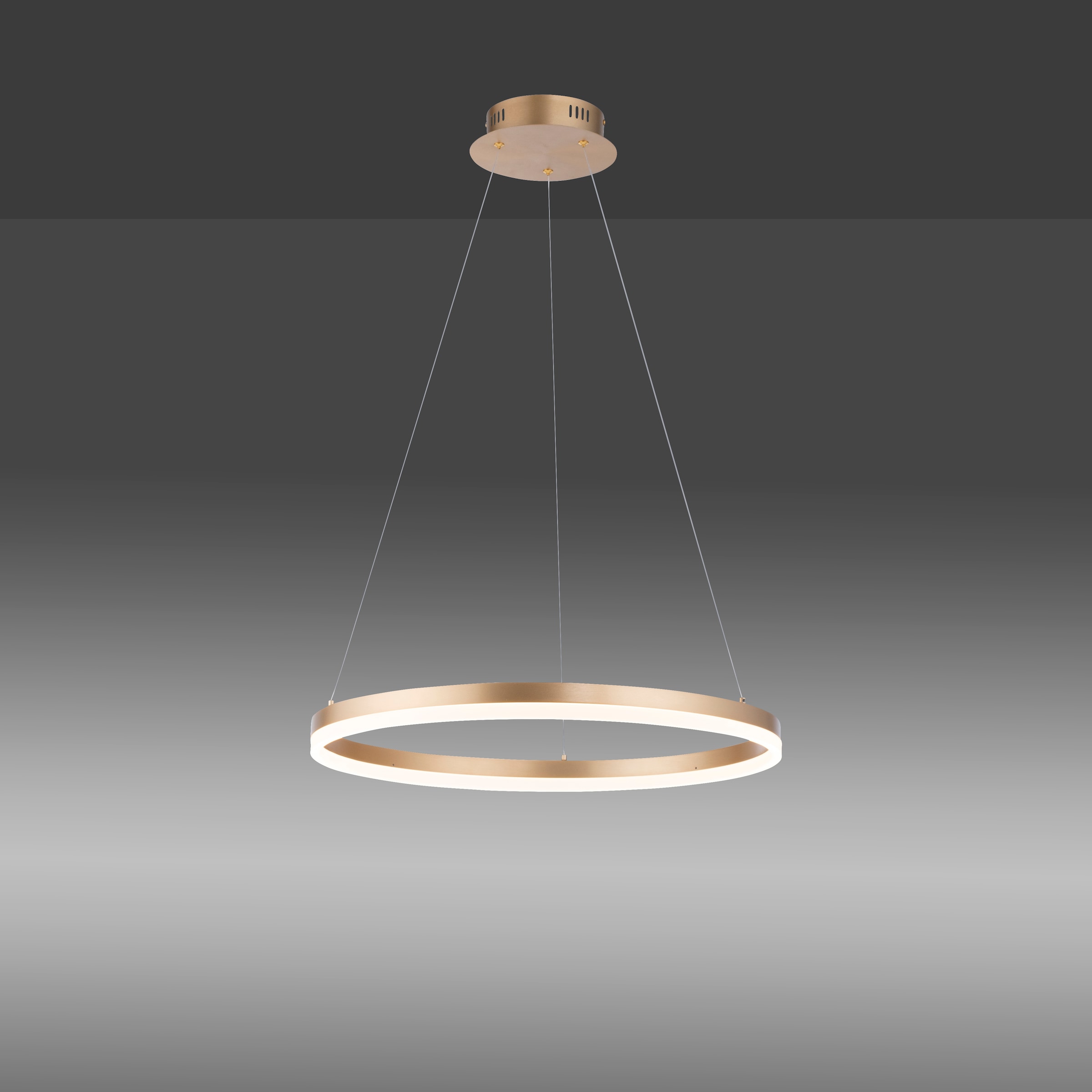 Paul Neuhaus Pendelleuchte »TITUS«, 1 flammig, Leuchtmittel LED-Board | LED fest integriert, LED, dimmbar, Simply Dim, Memory, nach Trennung vom Netz