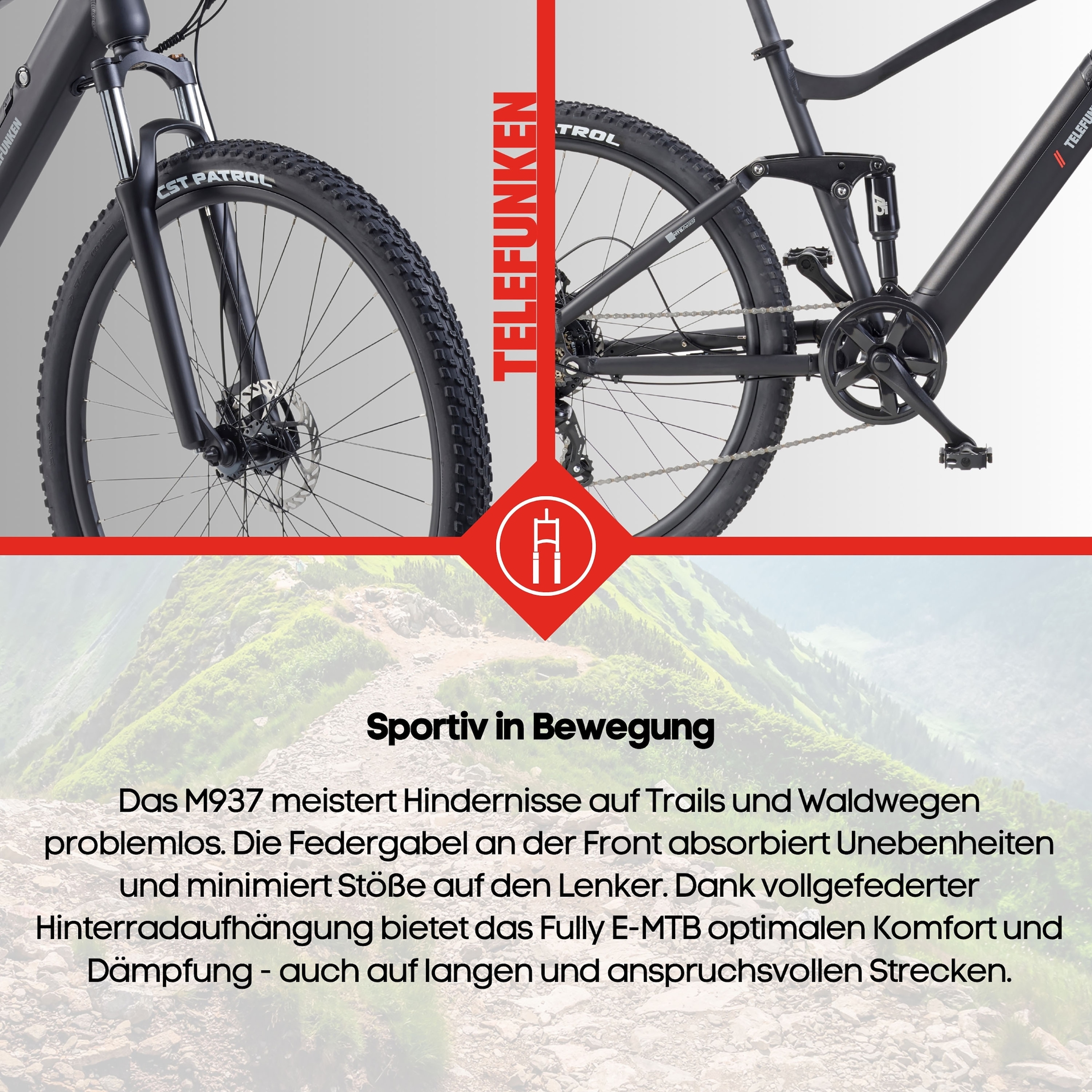 Telefunken »Aufsteiger M937« 7 Gang Shimano TY300D Schaltwerk Kettenschaltung Heckmotor 250 W Pedelec, Elektrofahrrad, Damen u. Herren, E-MTB, Mountainbike, 29 Zoll