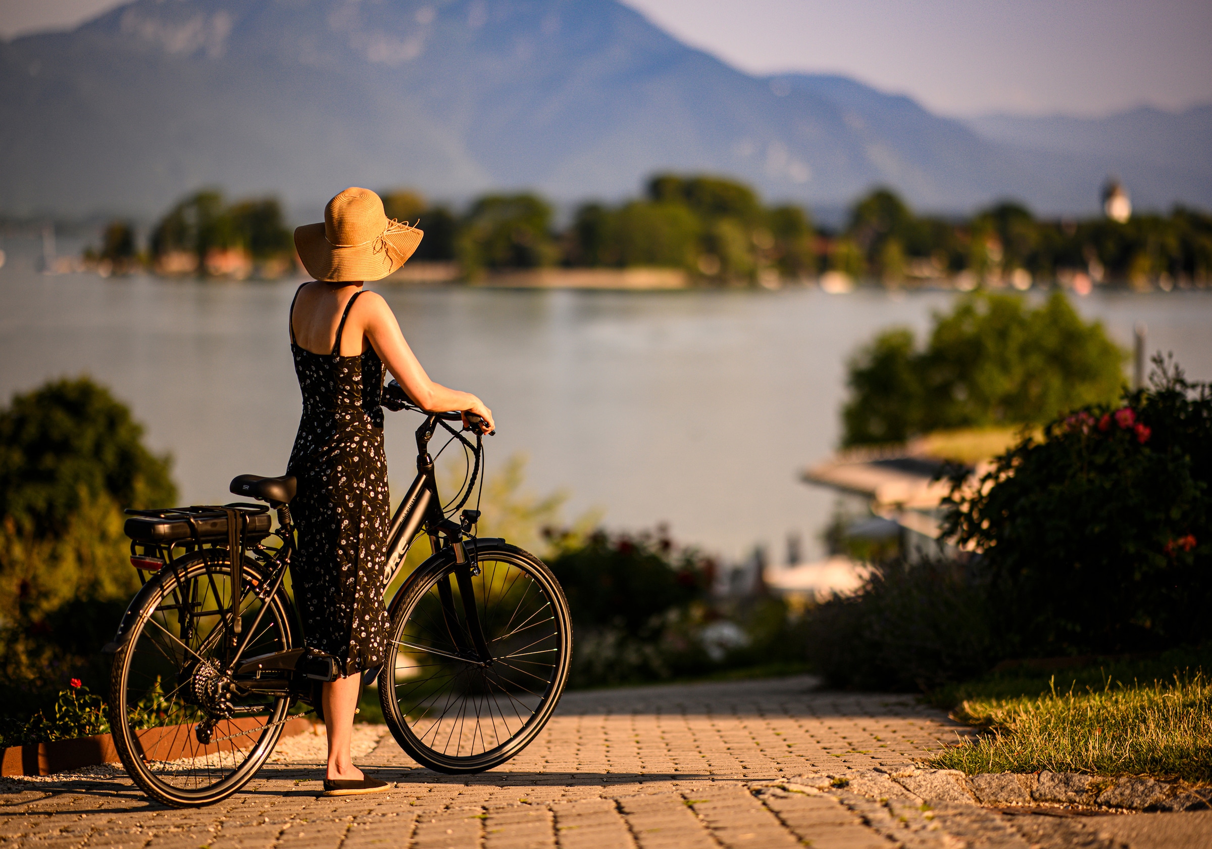 Adore E-Bike »Marseille«, 24 Gang, Shimano, Altus, Heckmotor 250 W, Akku PHYLION Li-Ion 36V/13 Ah 481 Wh