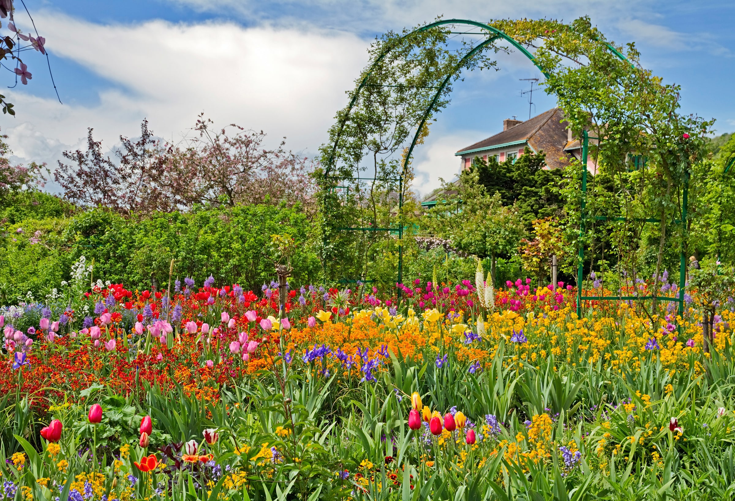 Papermoon Fototapete »GARTEN MONET-BLUMEN BÄUME PFLANZEN PARK STEINE BLÜTEN günstig online kaufen