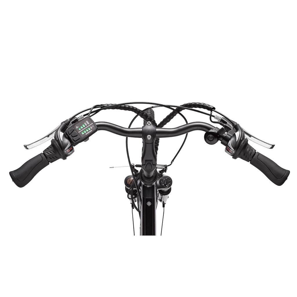 Telefunken E-Bike »Expedition XT480«, 21 Gang, Shimano, Heckmotor 250 W