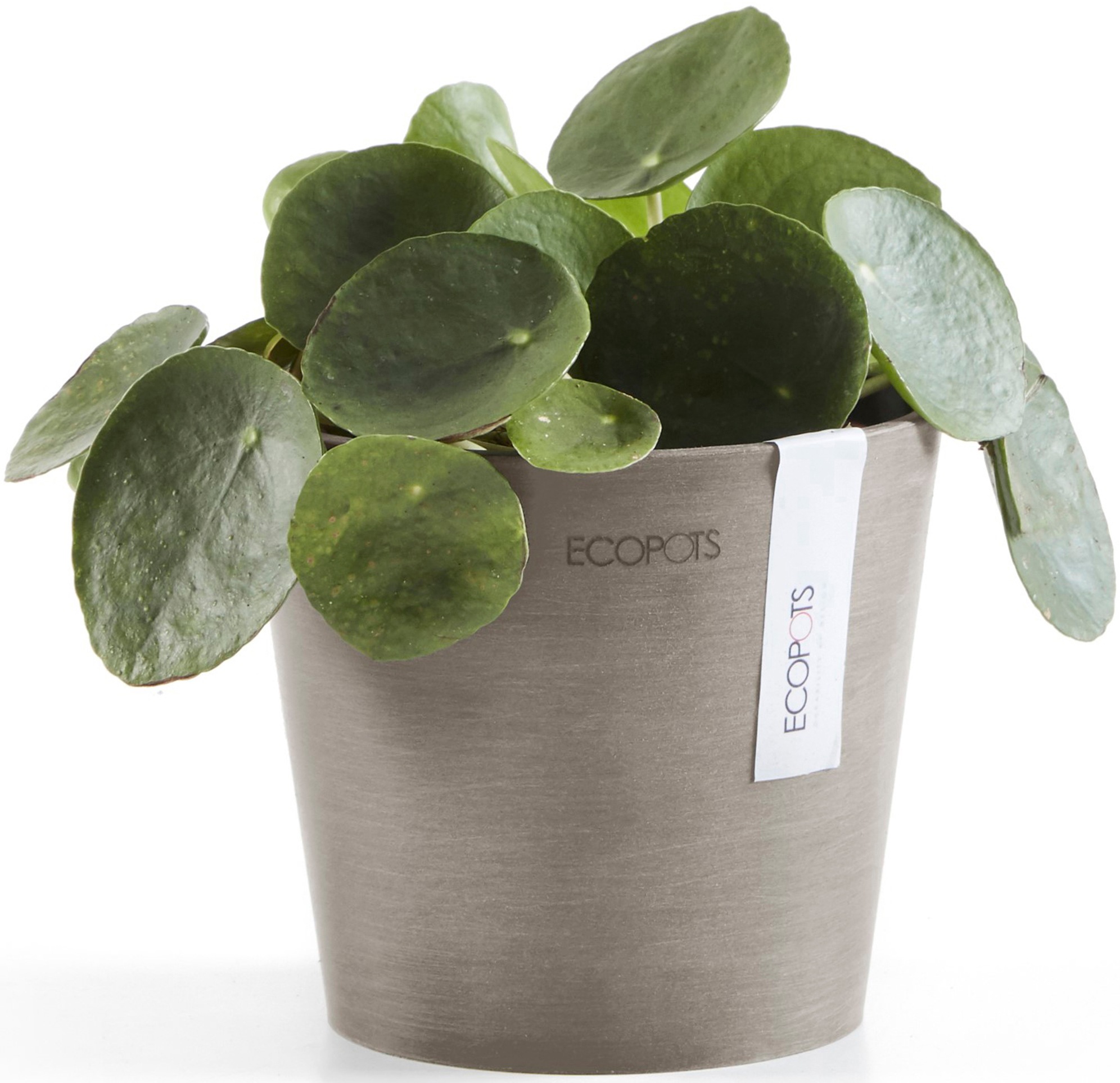 ECOPOTS Blumentopf »Amsterdam Mini 13 Taupe«, für den Innenbereich