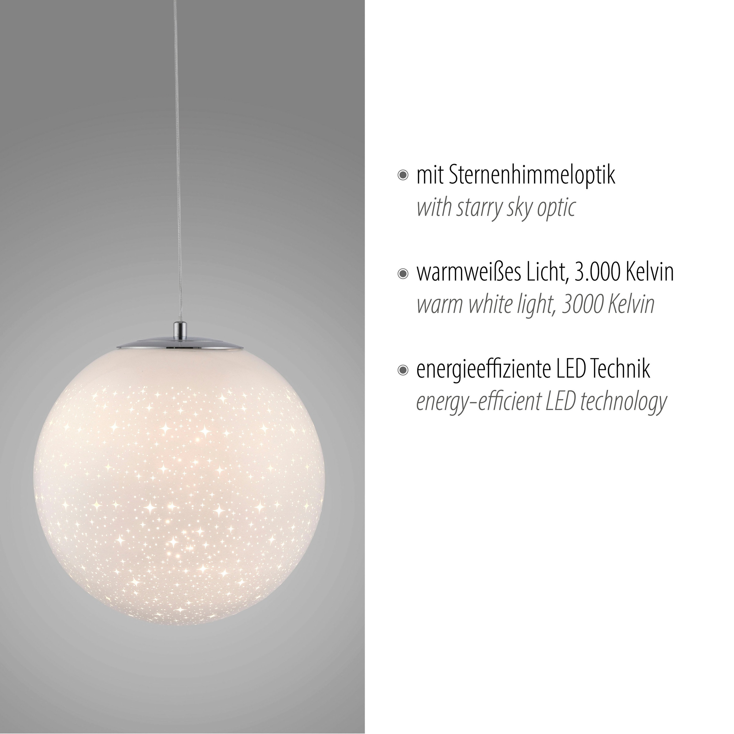 Paul Neuhaus Pendelleuchte »BOLO« LED-Board 1 Stk. Warmweiß