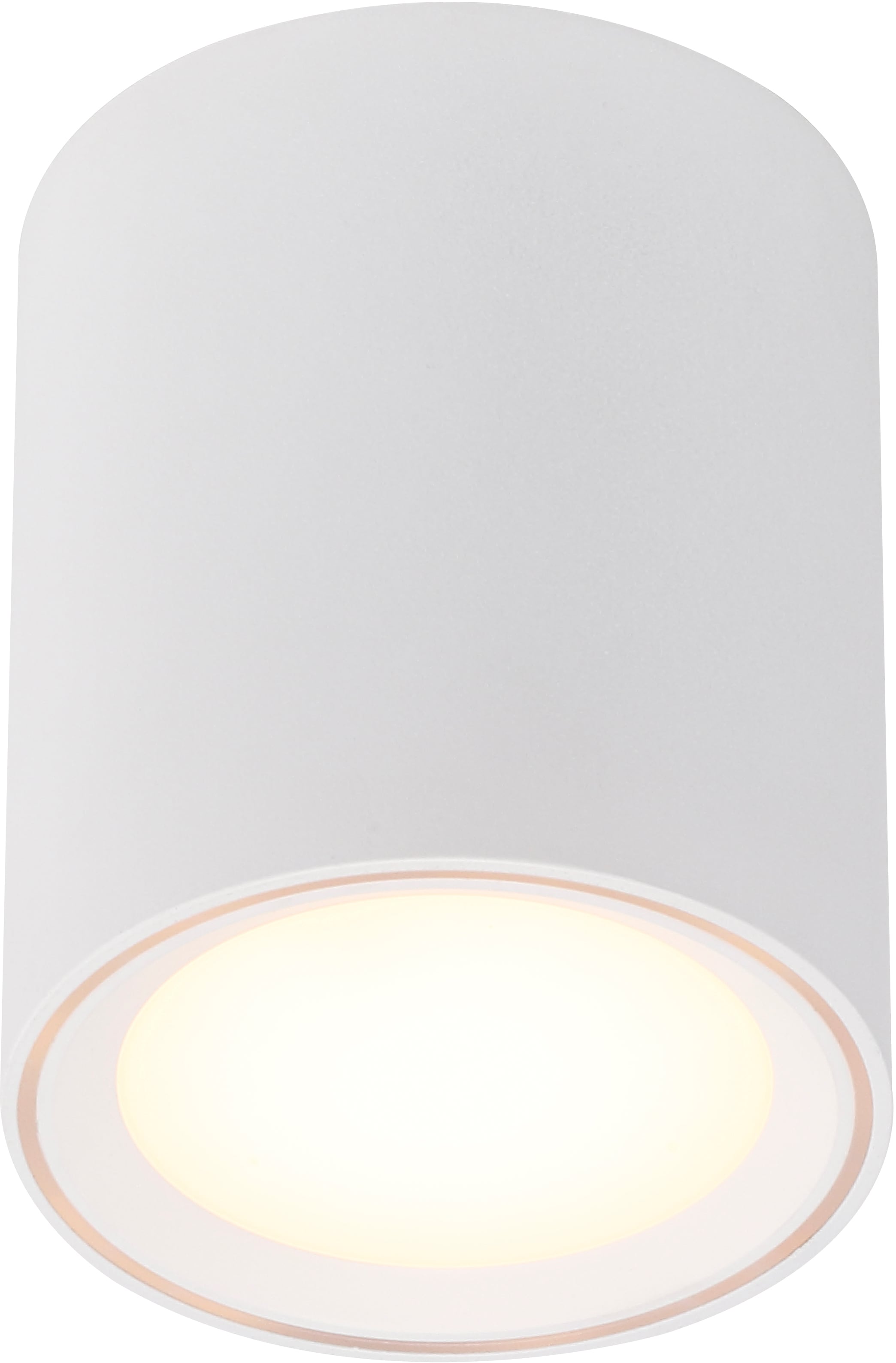 Deckenspot Deckenleuchte, LED LED »Fallon«, LED flammig-flammig, bestellen Nordlux 1 Deckenlampe online