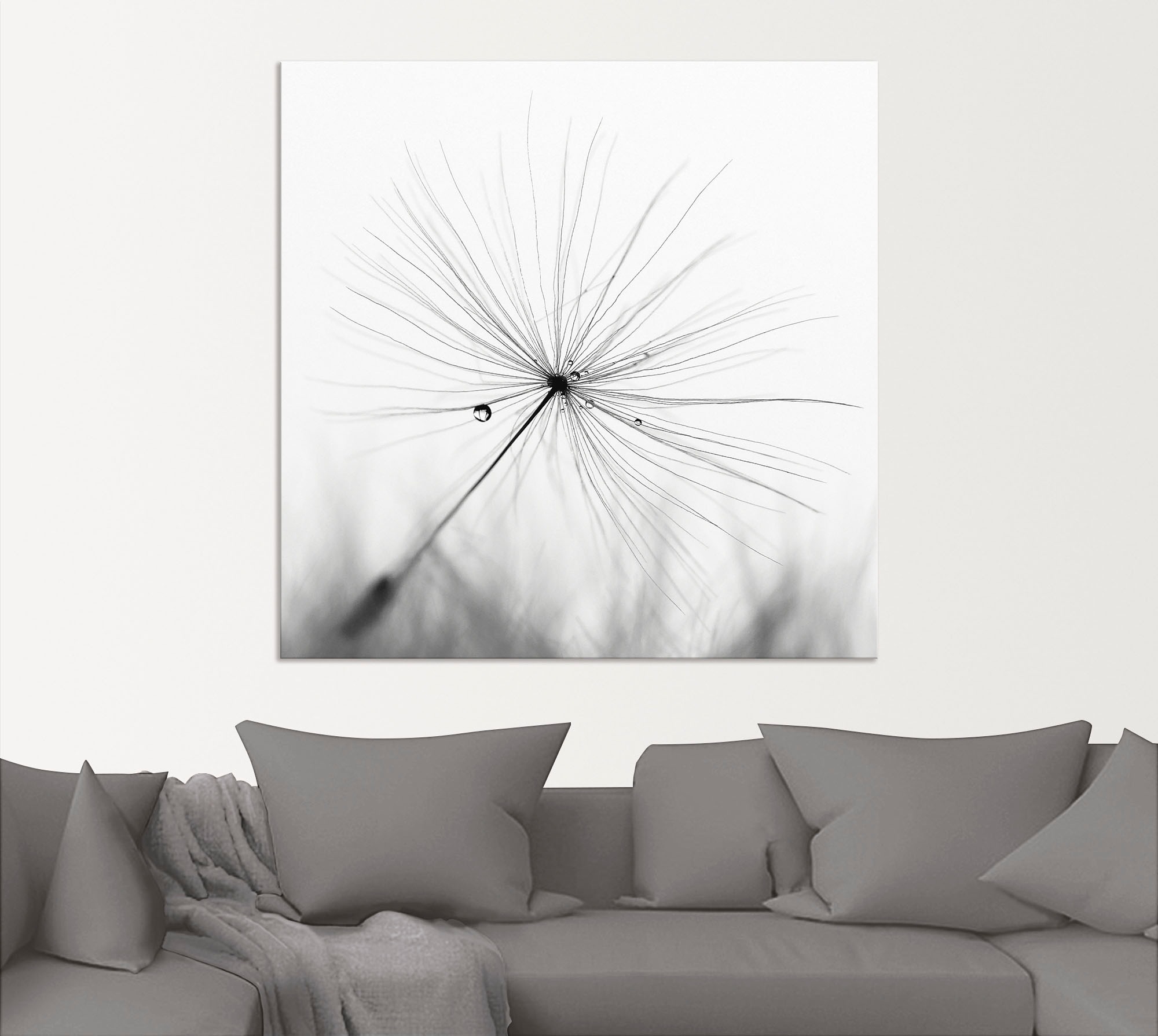 Artland Wandbild "Pusteblume Schirmchen", Blumen, (1 St.), als Alubild, Out günstig online kaufen