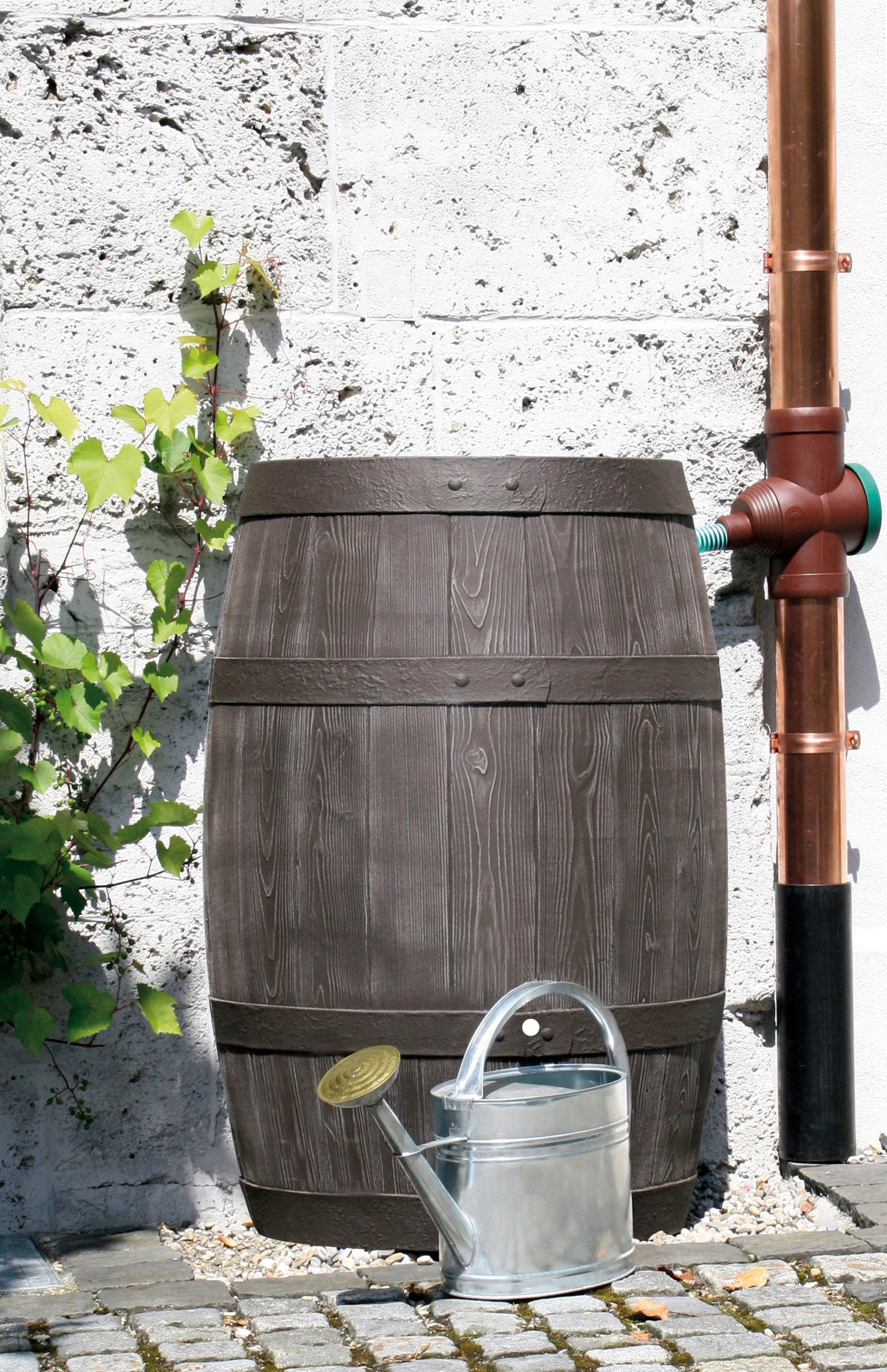 ARVES Regentonne »Burgund«, ØxH: 78x118 cm