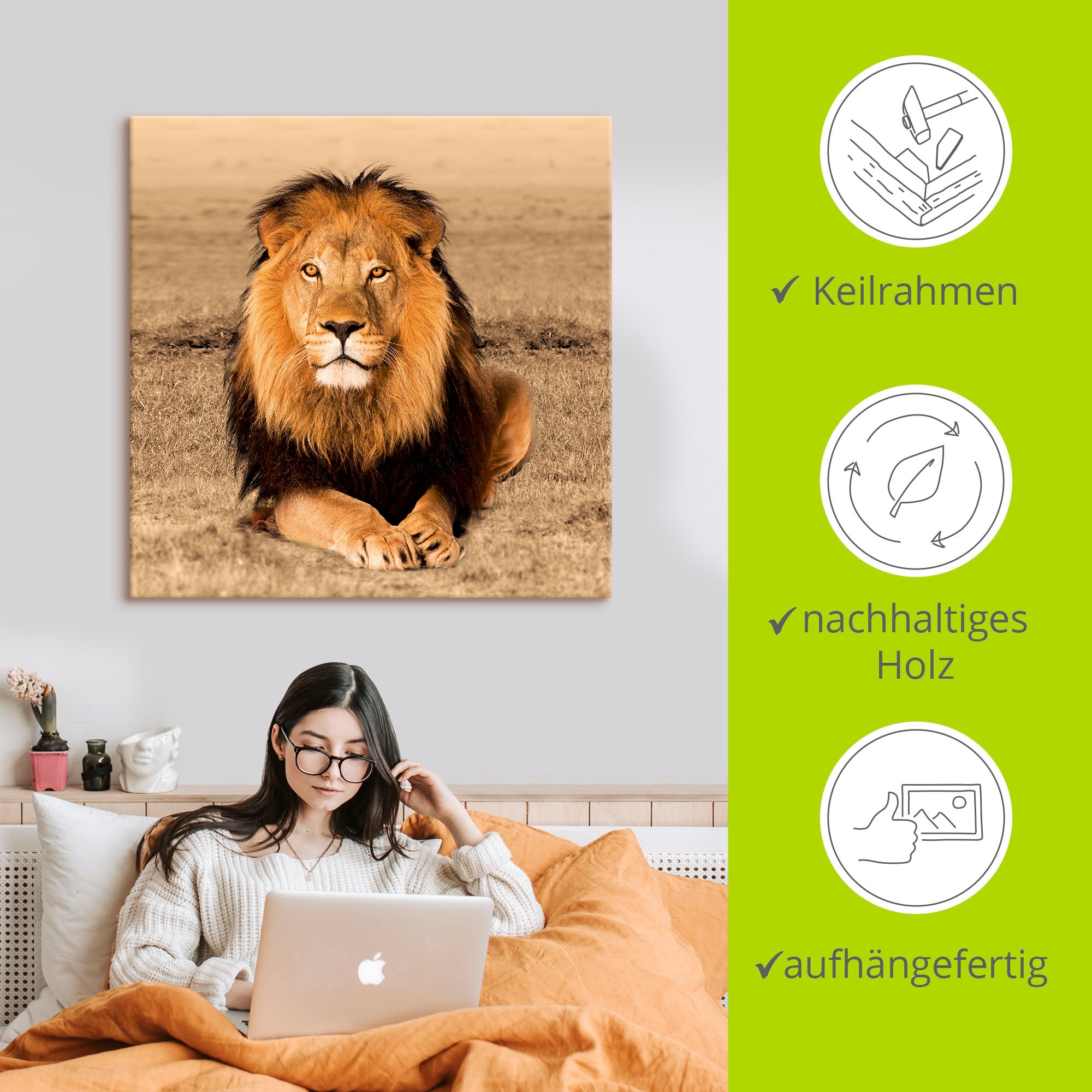 Artland Wandbild »Löwe«, Wildtiere, (1 St.), als Alubild, Outdoorbild, Leinwandbild, Poster, Wandaufkleber