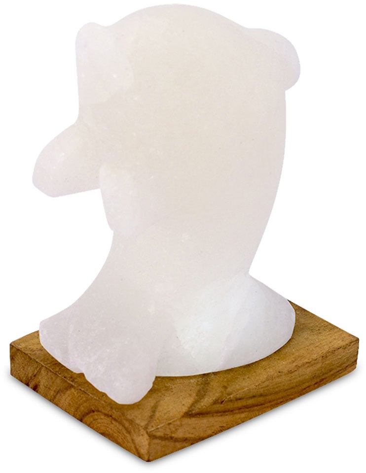 HIMALAYA SALT DREAMS Salzkristall-Tischlampe »Delfin«, Handgefertigt aus Salzkristall - jeder Stein ein Unikat, H: ca.15 cm