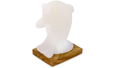 HIMALAYA SALT DREAMS Salzkristall-Tischlampe »Delfin«, LED-Modul, 1 St., Warmweiß,... kaufen
