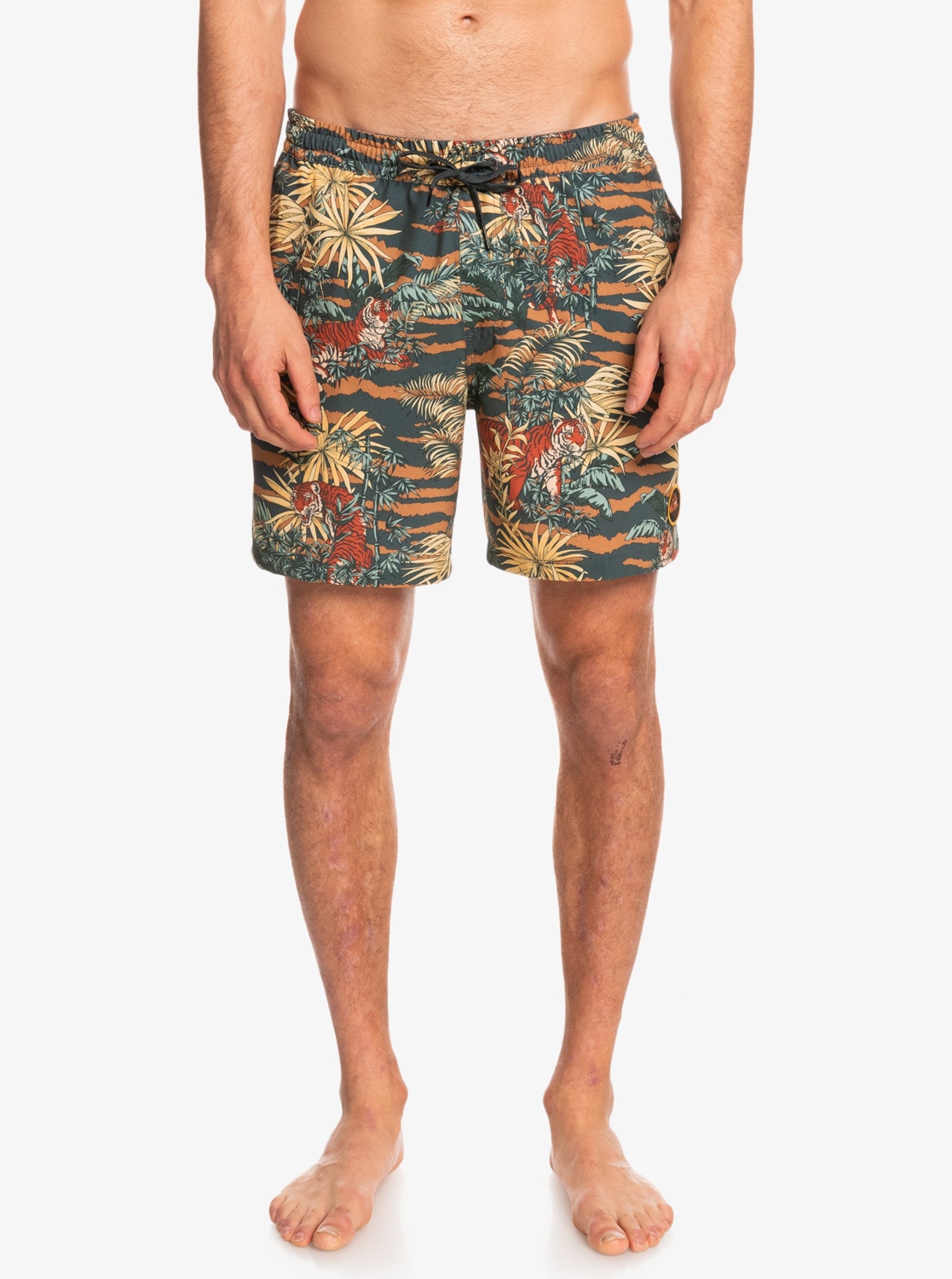 Quiksilver Boardshorts »Ocean Mix 17"«