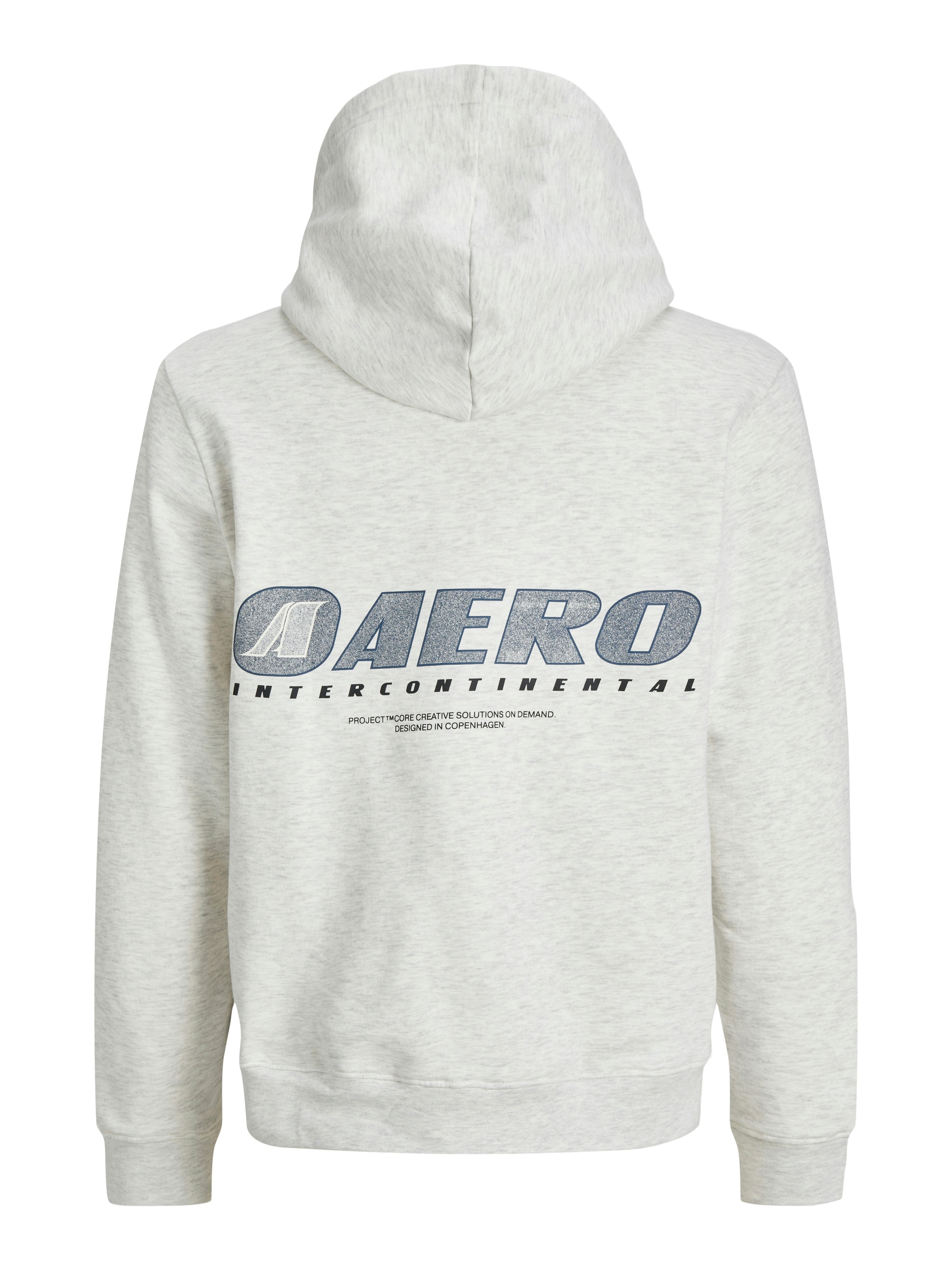 Jack & Jones Kapuzensweatshirt »JCOTIER PRINT SWEAT HOOD«