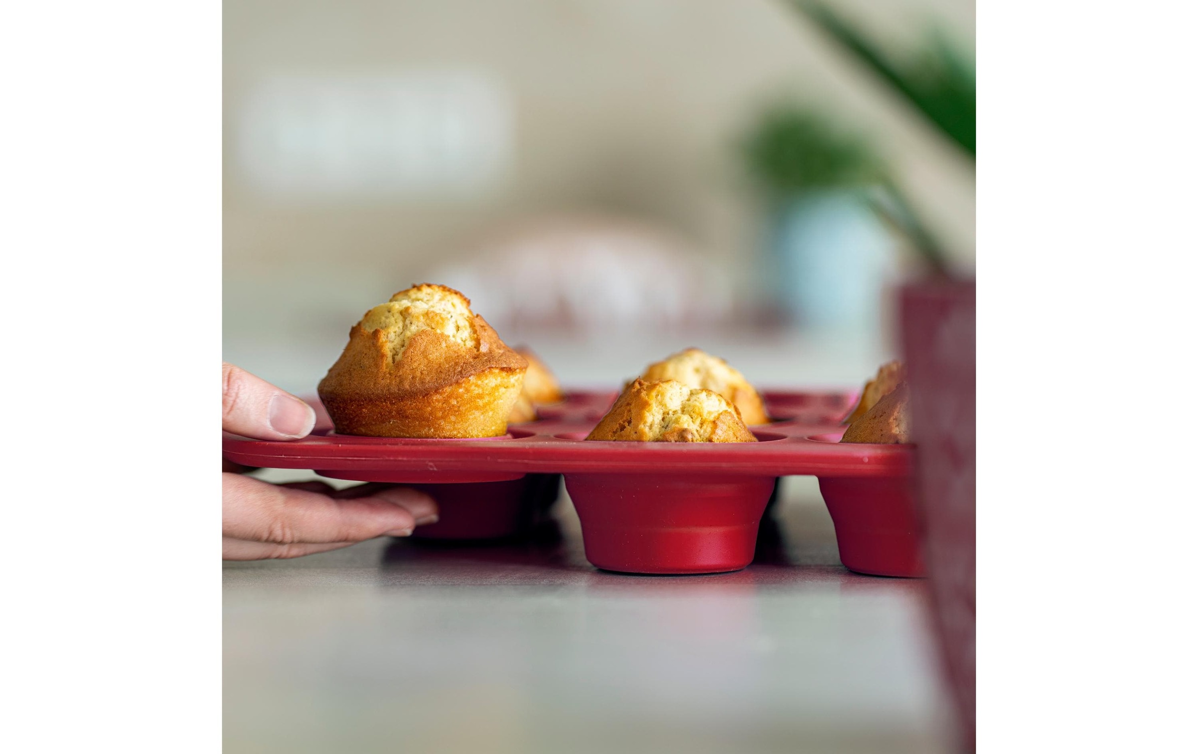 coox Muffinform »12 Mulden«