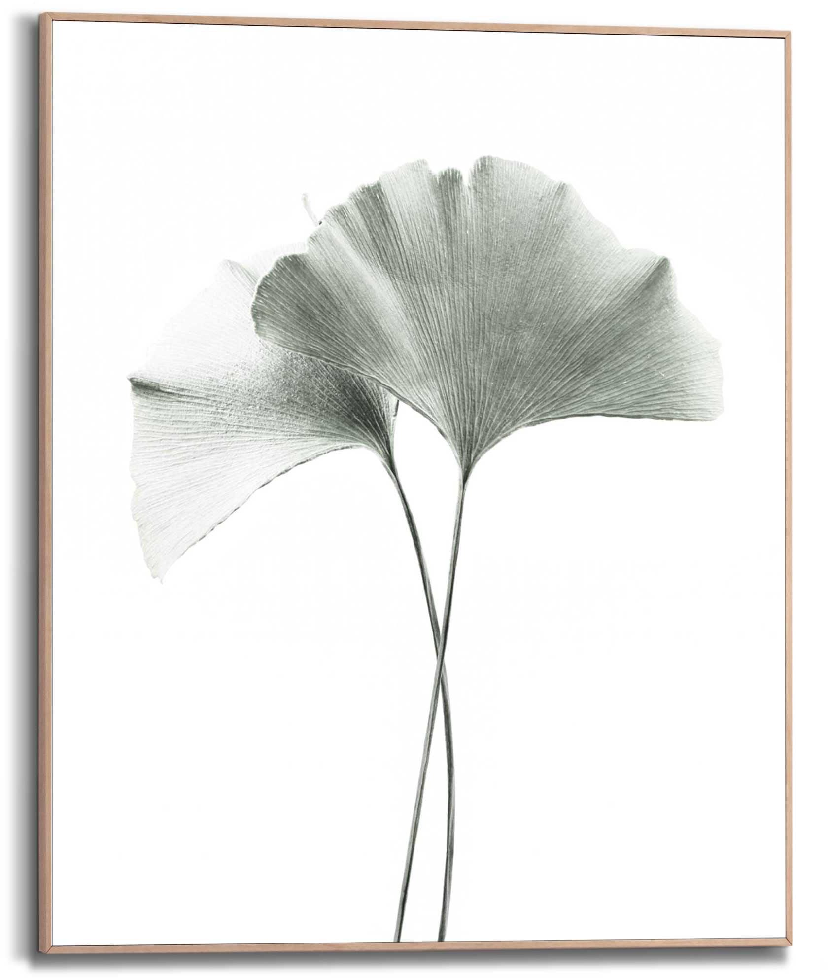 Reinders! Kunstdruck »Ginkgo Blatt«