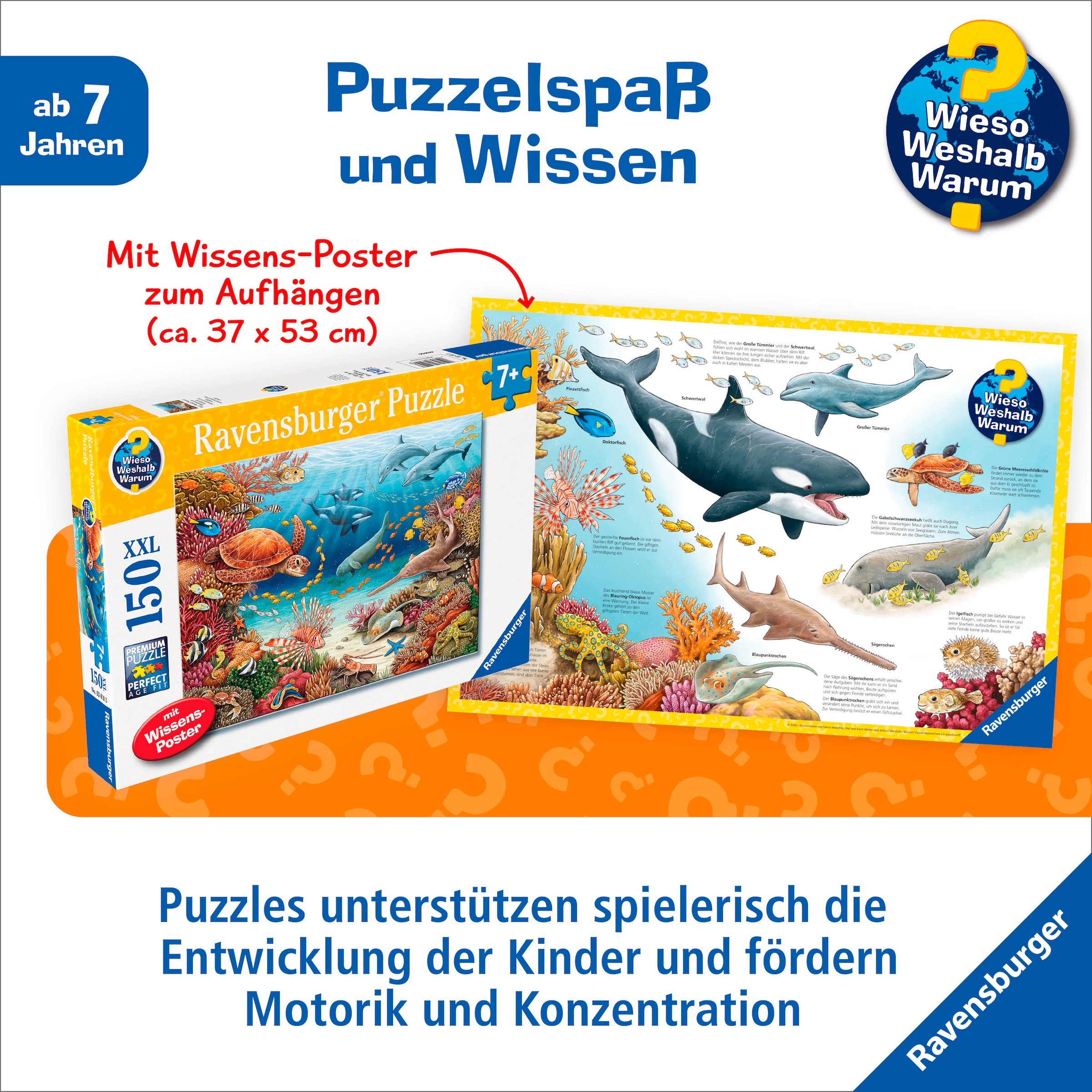 Ravensburger Puzzle »Wieso? Weshalb? Warum? Meerestiere am Korallenriff«, Made in Germany