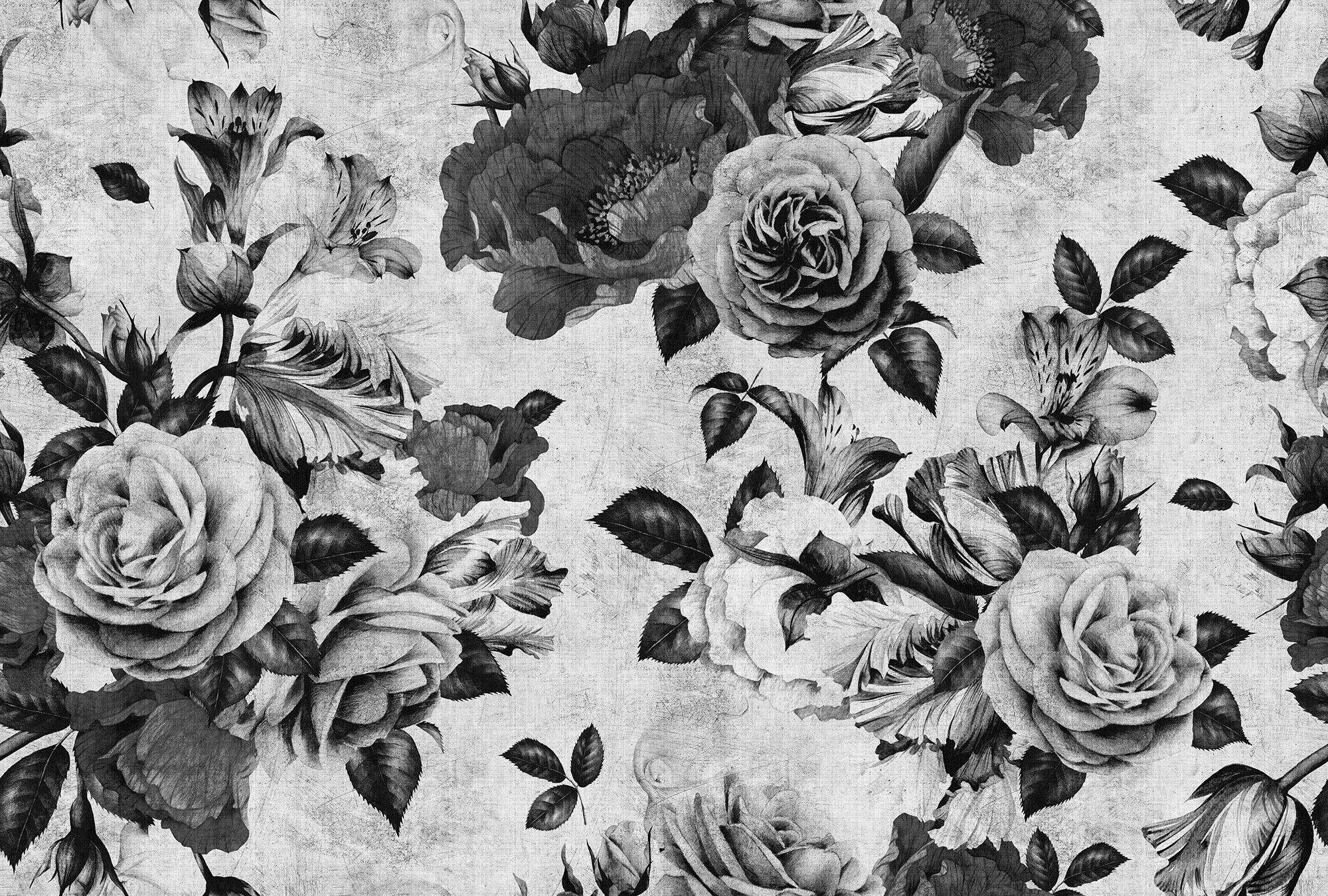 living walls Fototapete »Walls by Patel Spanish Rose 1« glatt Vlies, Wand, günstig online kaufen
