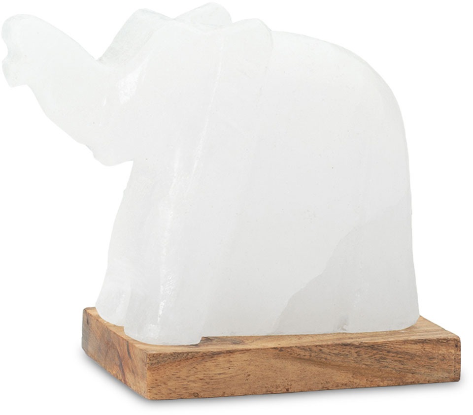HIMALAYA SALT DREAMS Salzkristall-Tischlampe »Elefant«, Leuchtmittel LED-Mo günstig online kaufen