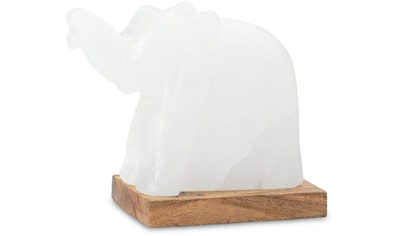 HIMALAYA SALT DREAMS Salzkristall-Tischlampe »Elefant«, LED-Modul, 1 St., Warmweiß,... kaufen
