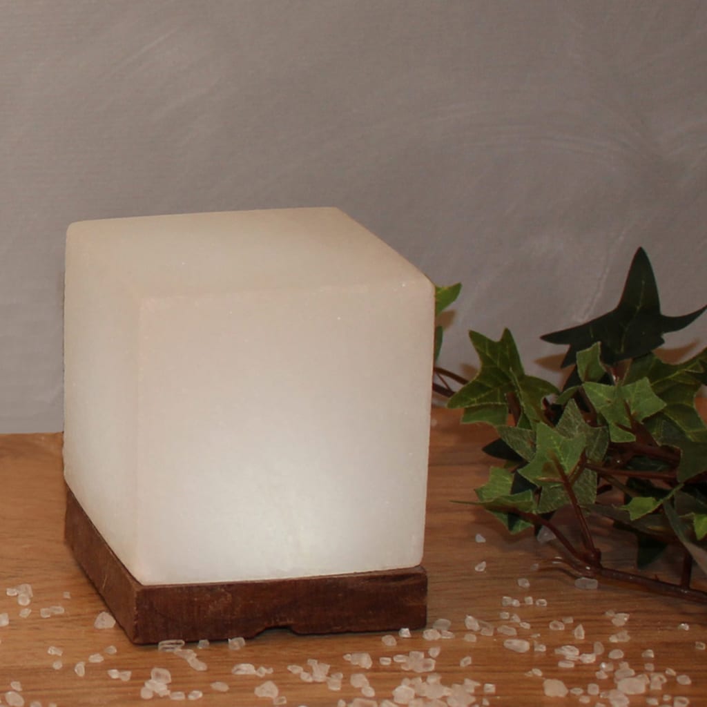 HIMALAYA SALT DREAMS Salzkristall-Tischlampe »USB-Kubus«