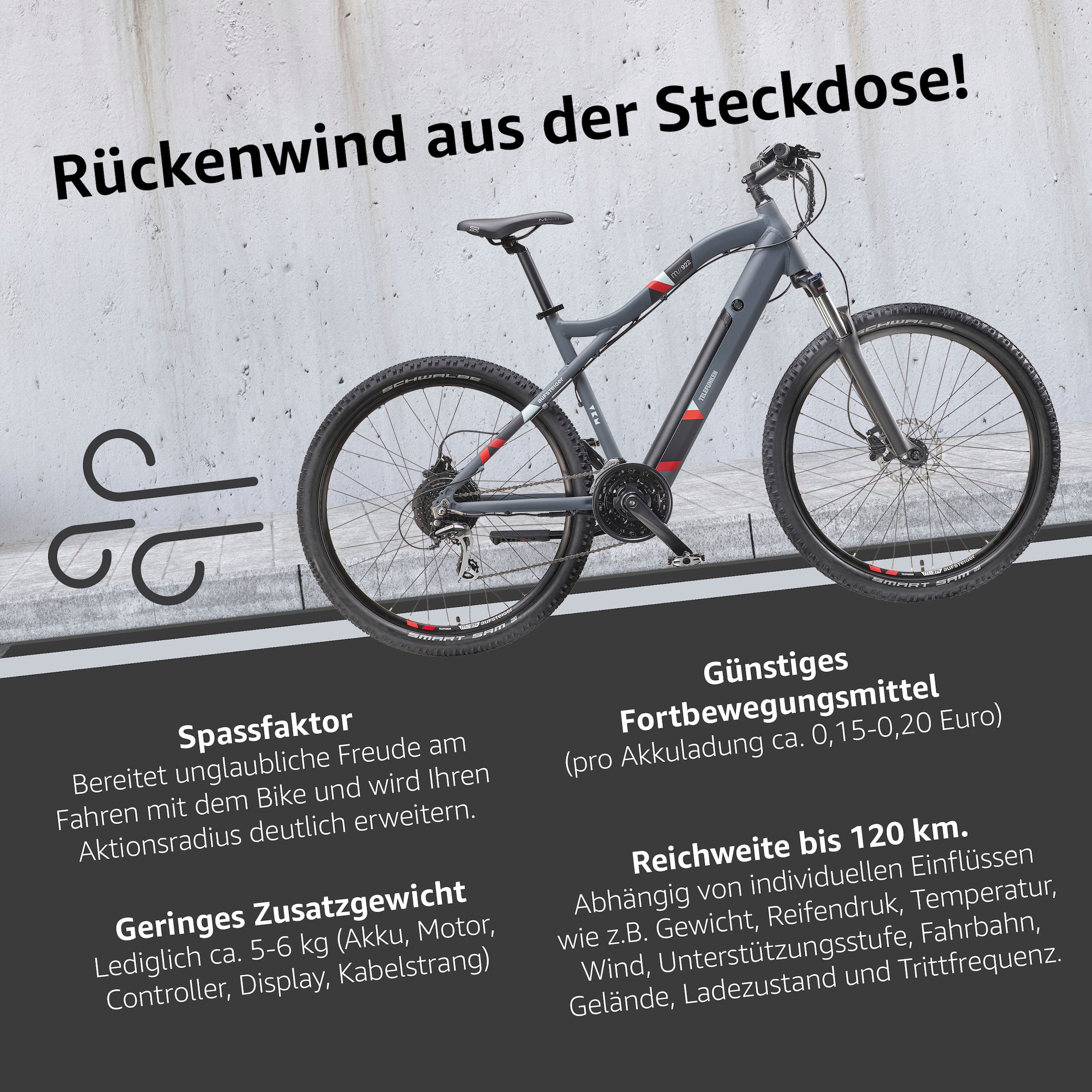 Telefunken E-Bike »Aufsteiger M922«, 24 Gang, Shimano, Acera, Heckmotor 250 W
