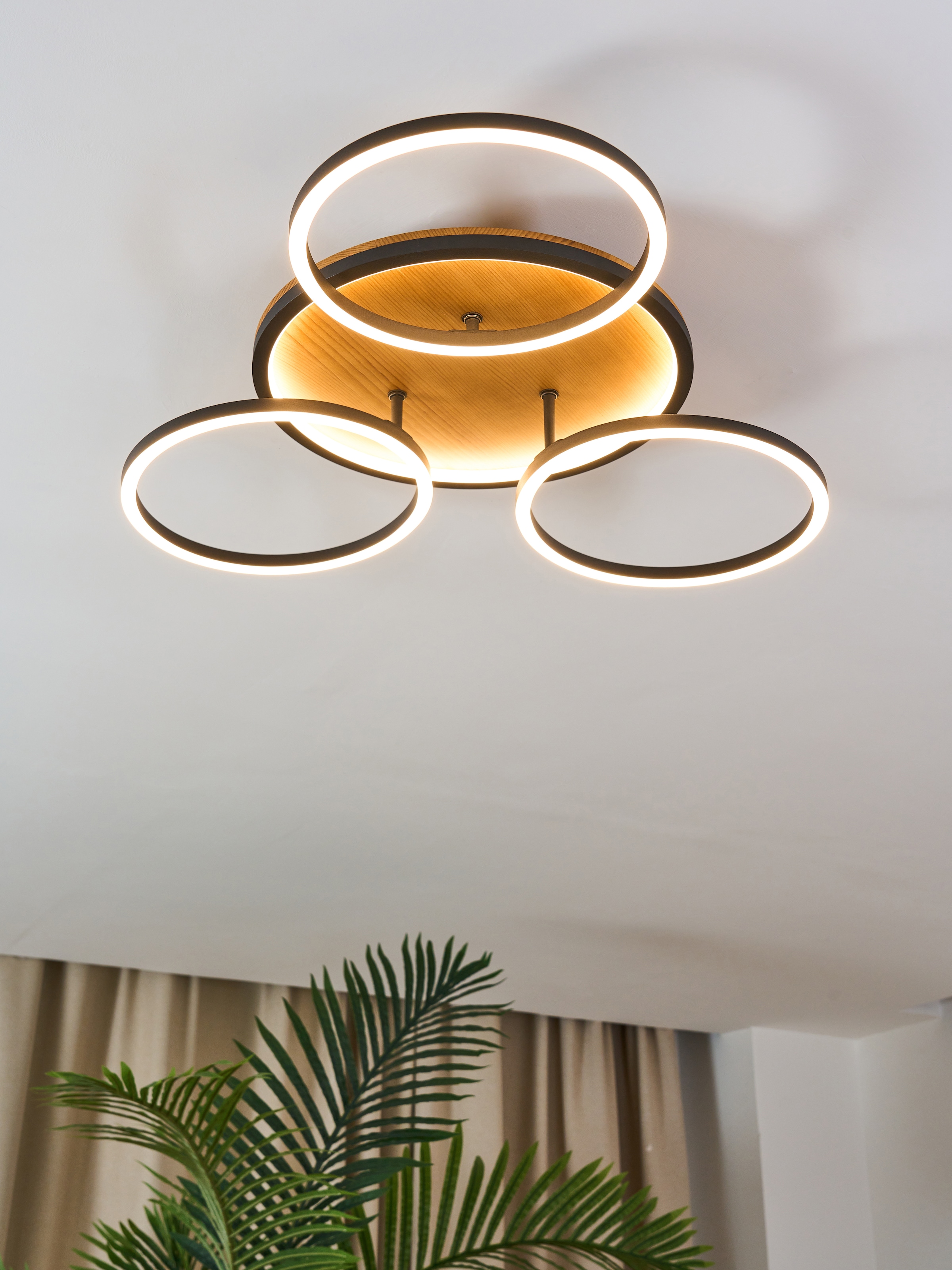 ECO-LIGHT LED Deckenleuchte »LED-Deckenleuchte KIRU«, 3 flammig, Leuchtmitt günstig online kaufen