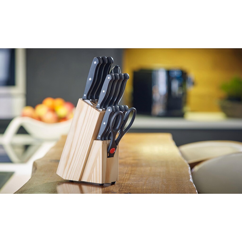 ECHTWERK Messerblock, 14 tlg., Basic Küchenmesser Set aus hochwertigem Klingenstahl, Griff schwarz