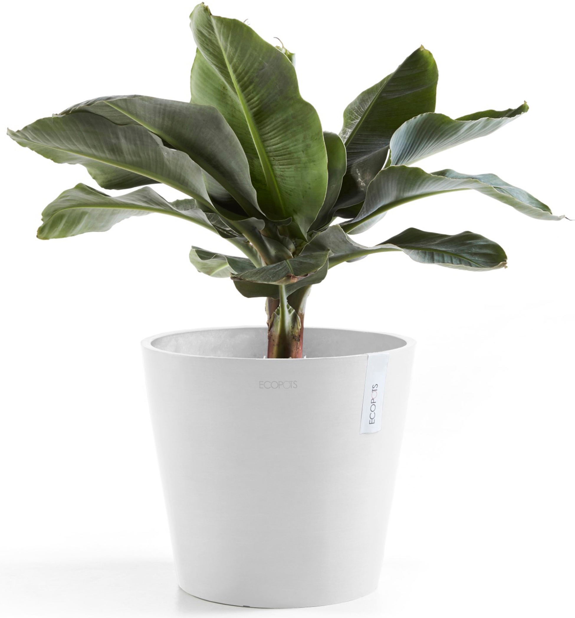 ECOPOTS Blumentopf »Amsterdam 30 + Wassersystem Weißgrau«, für innen und außen: frostsicher, bruchsicher und lichtbeständig