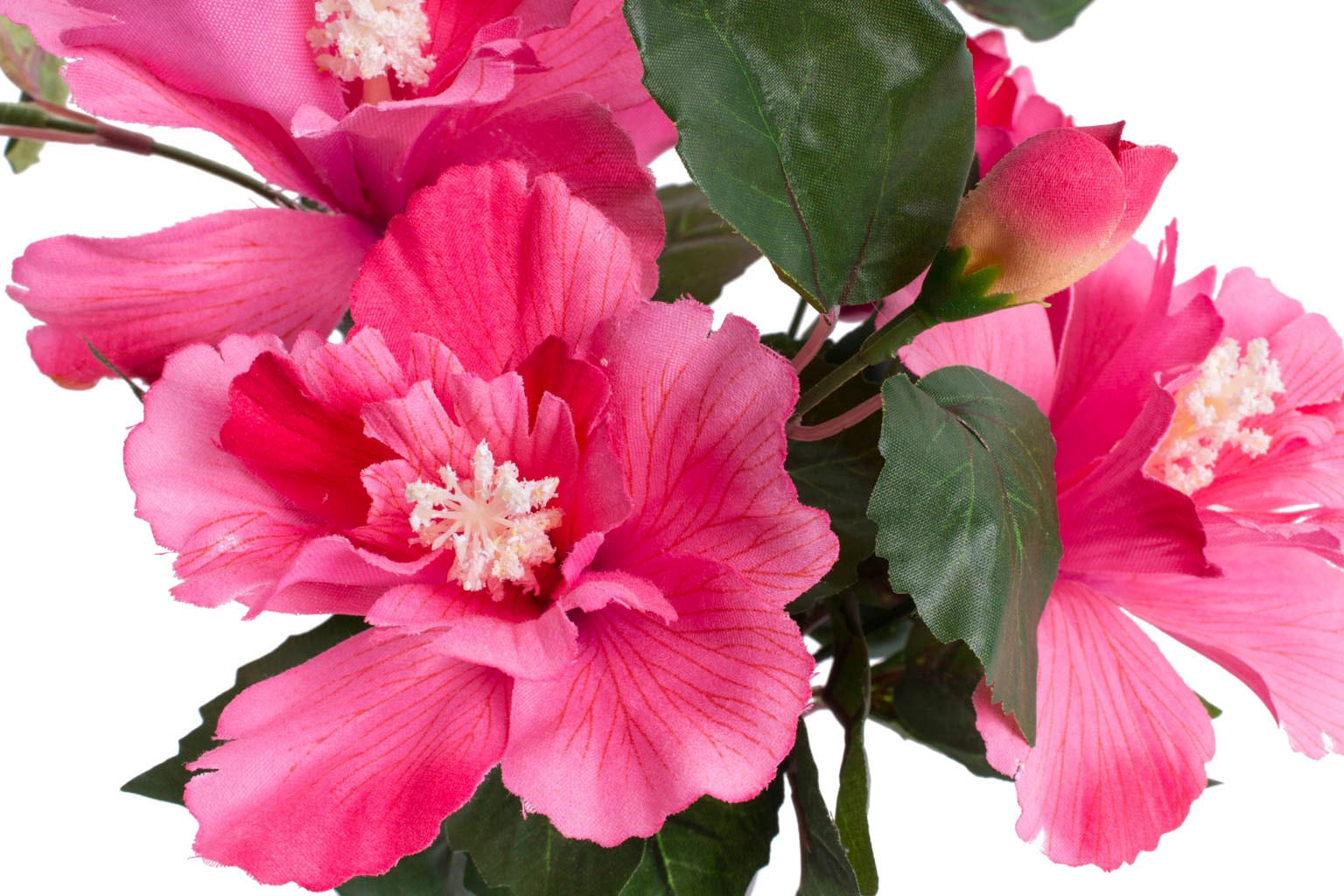 Botanic-Haus Kunstblume »Hibiskus im Topf«