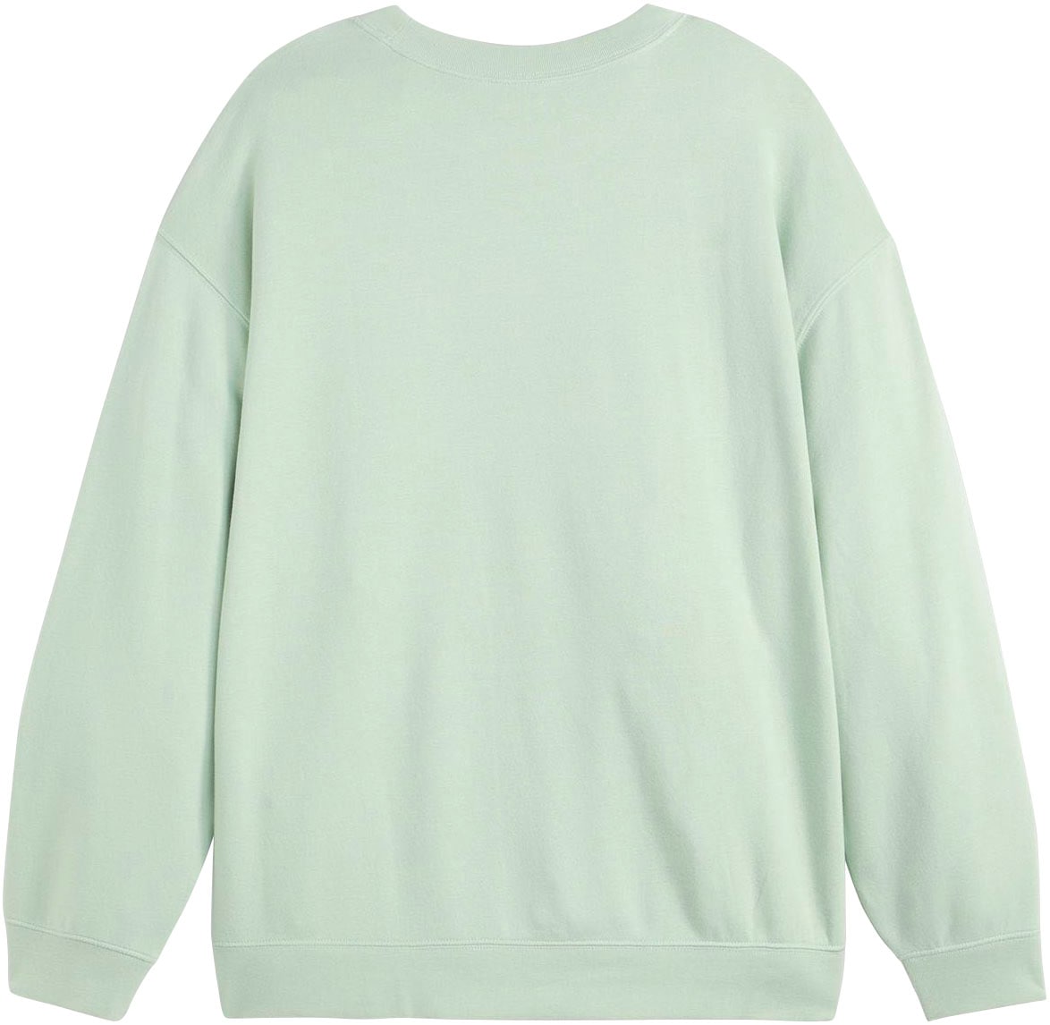 Levi's® Plus Sweatshirt »PL GR EVERYDAY CREW«