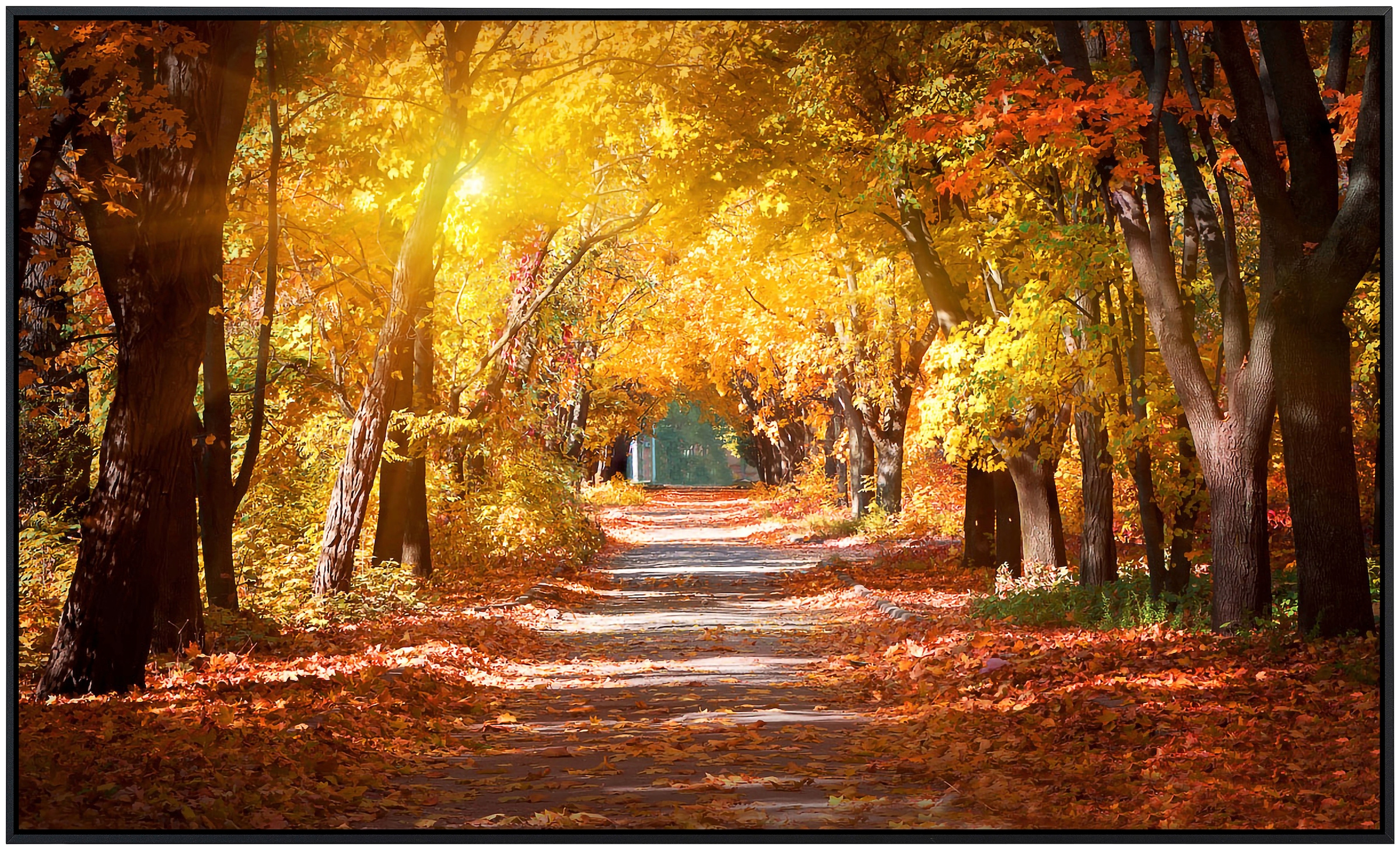 Papermoon Infrarotheizung »Gasse im Herbstpark«, sehr angenehme Strahlungswärme