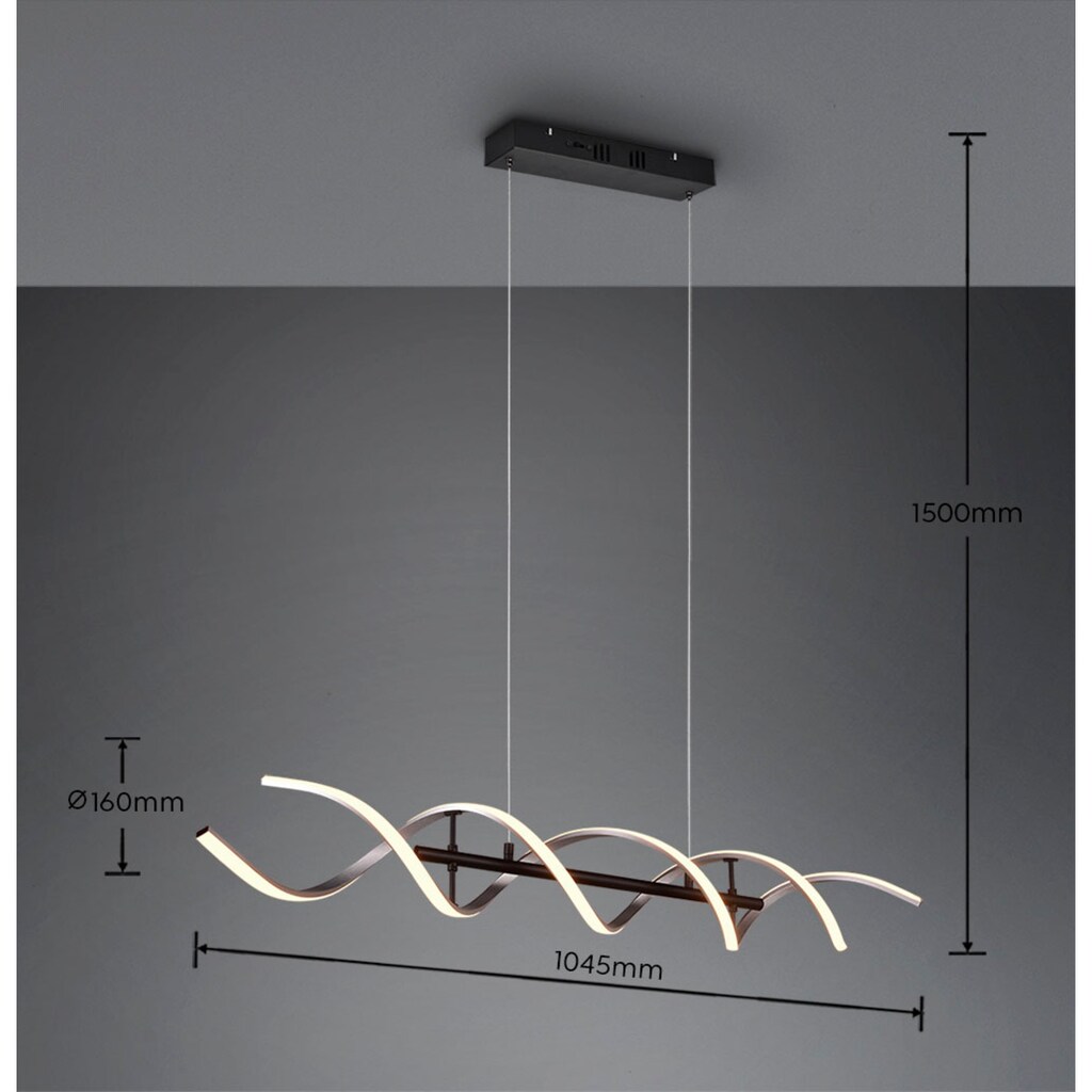 TRIO Leuchten LED Pendelleuchte »Sequence«, 1 flammig-flammig